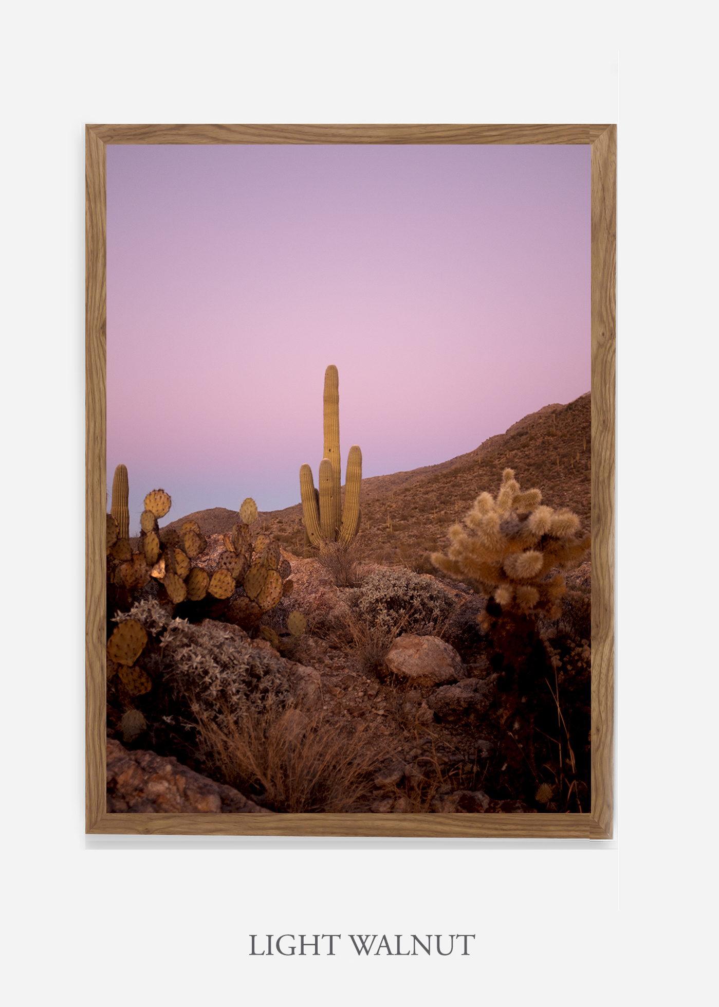 nomat-lightwalnutframe-saguaroNo.10-wildercalifornia-art-wallart-cactusprint-homedecor-prints-arizona-botanical-artwork-interiordesign.jpg