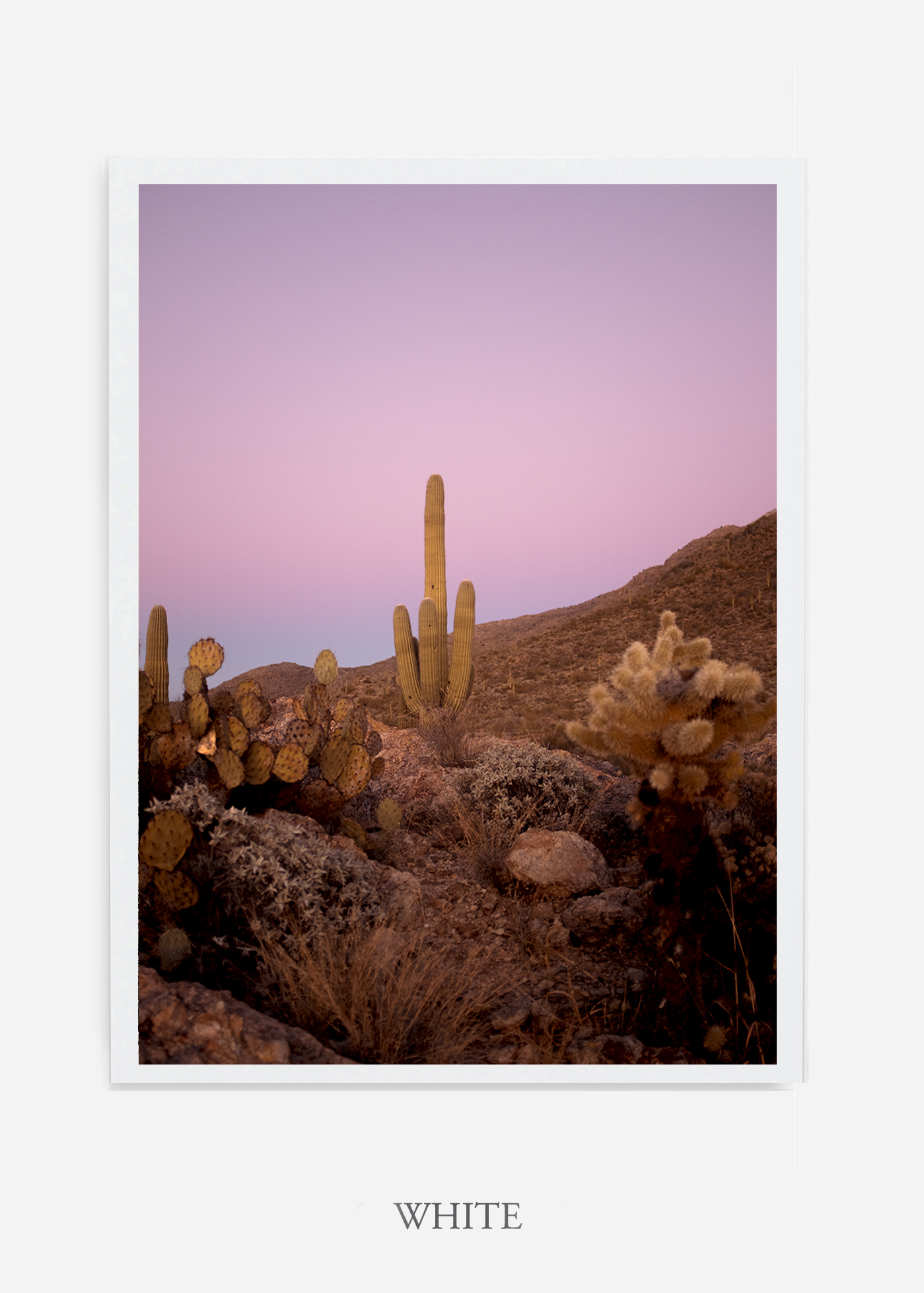 nomat-whiteframe-saguaroNo.10-wildercalifornia-art-wallart-cactusprint-homedecor-prints-arizona-botanical-artwork-interiordesign.jpg