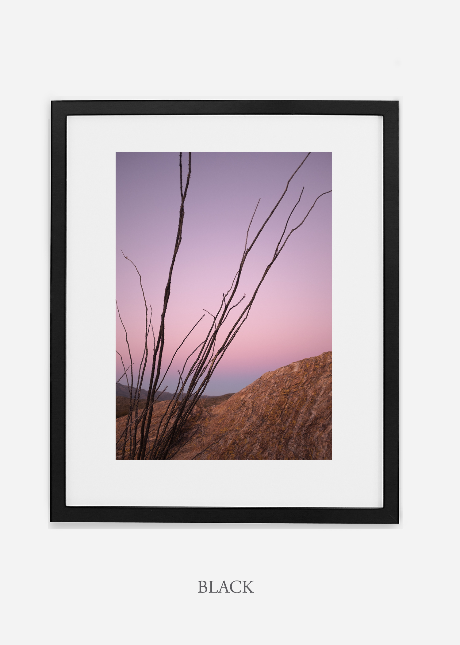 blackframe-saguaroNo.12-wildercalifornia-art-wallart-cactusprint-homedecor-prints-arizona-botanical-artwork-interiordesign.jpg
