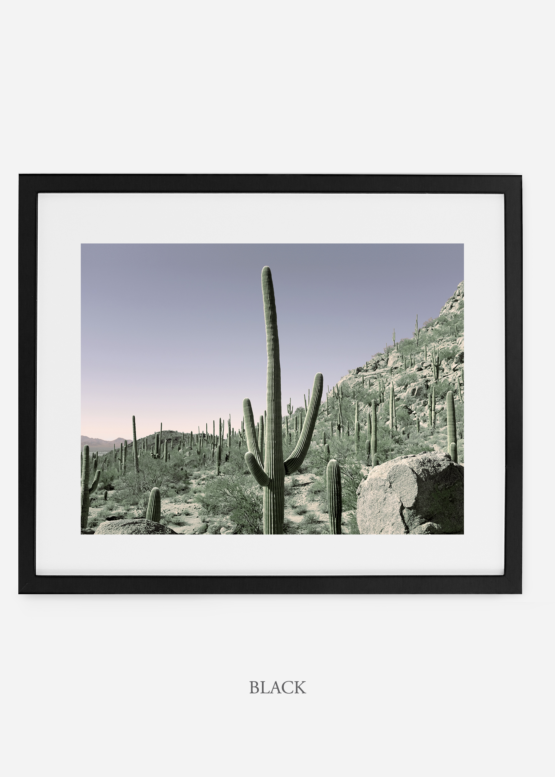 blackframe-saguaroNo.13-wildercalifornia-art-wallart-cactusprint-homedecor-prints-arizona-botanical-artwork-interiordesign.jpg