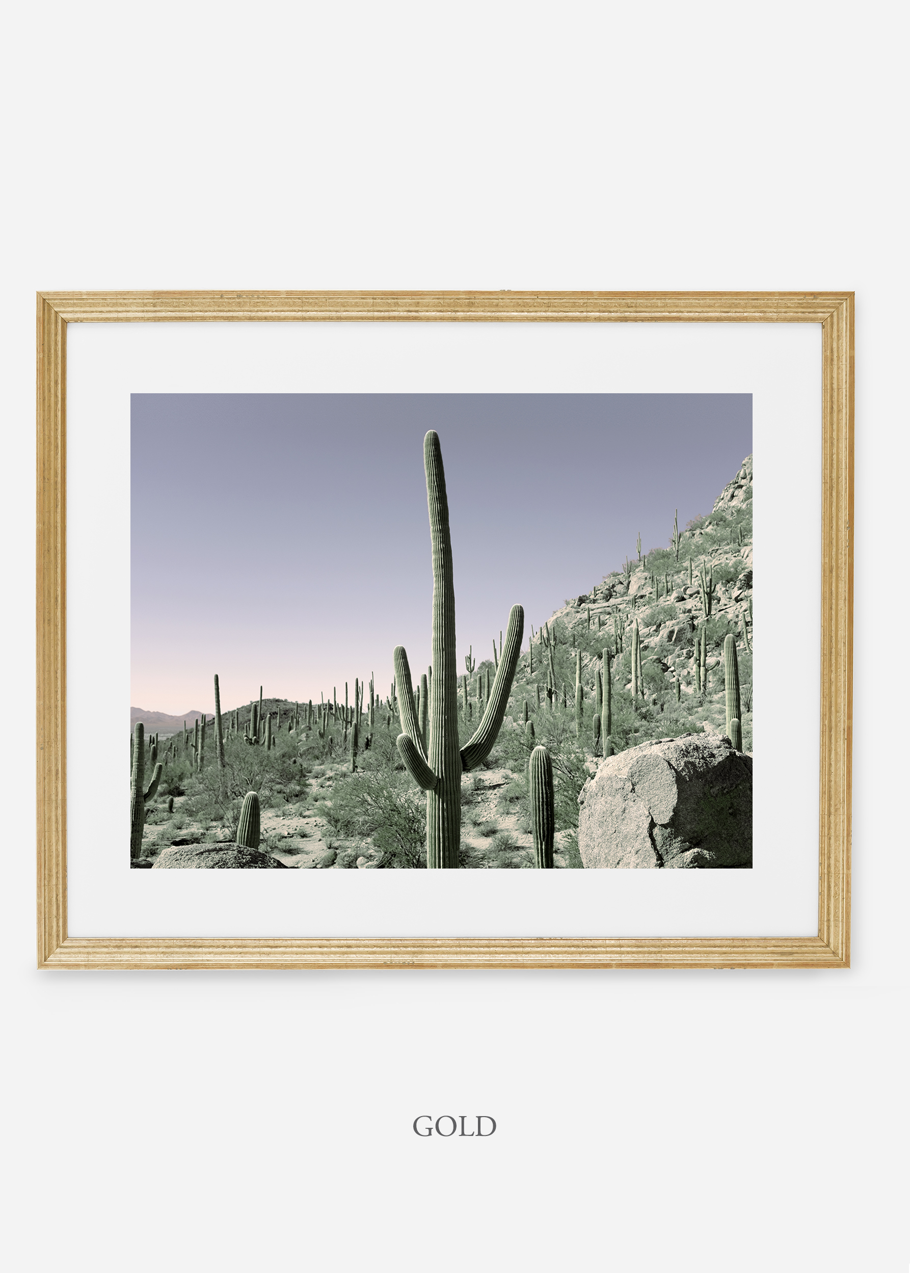 goldframe-saguaroNo.13-wildercalifornia-art-wallart-cactusprint-homedecor-prints-arizona-botanical-artwork-interiordesign.jpg