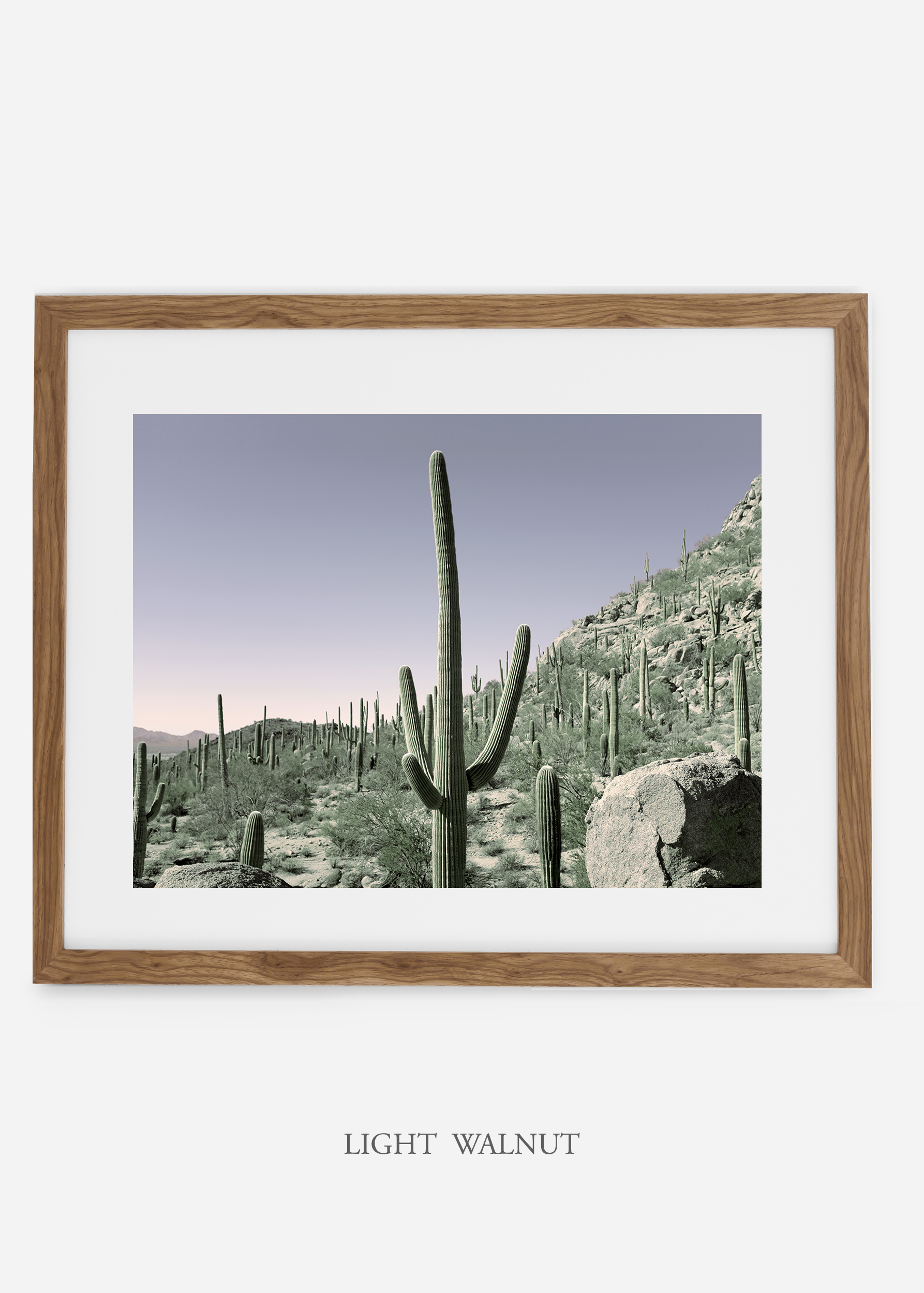 lightwalnutframe-saguaroNo.13-wildercalifornia-art-wallart-cactusprint-homedecor-prints-arizona-botanical-artwork-interiordesign.jpg