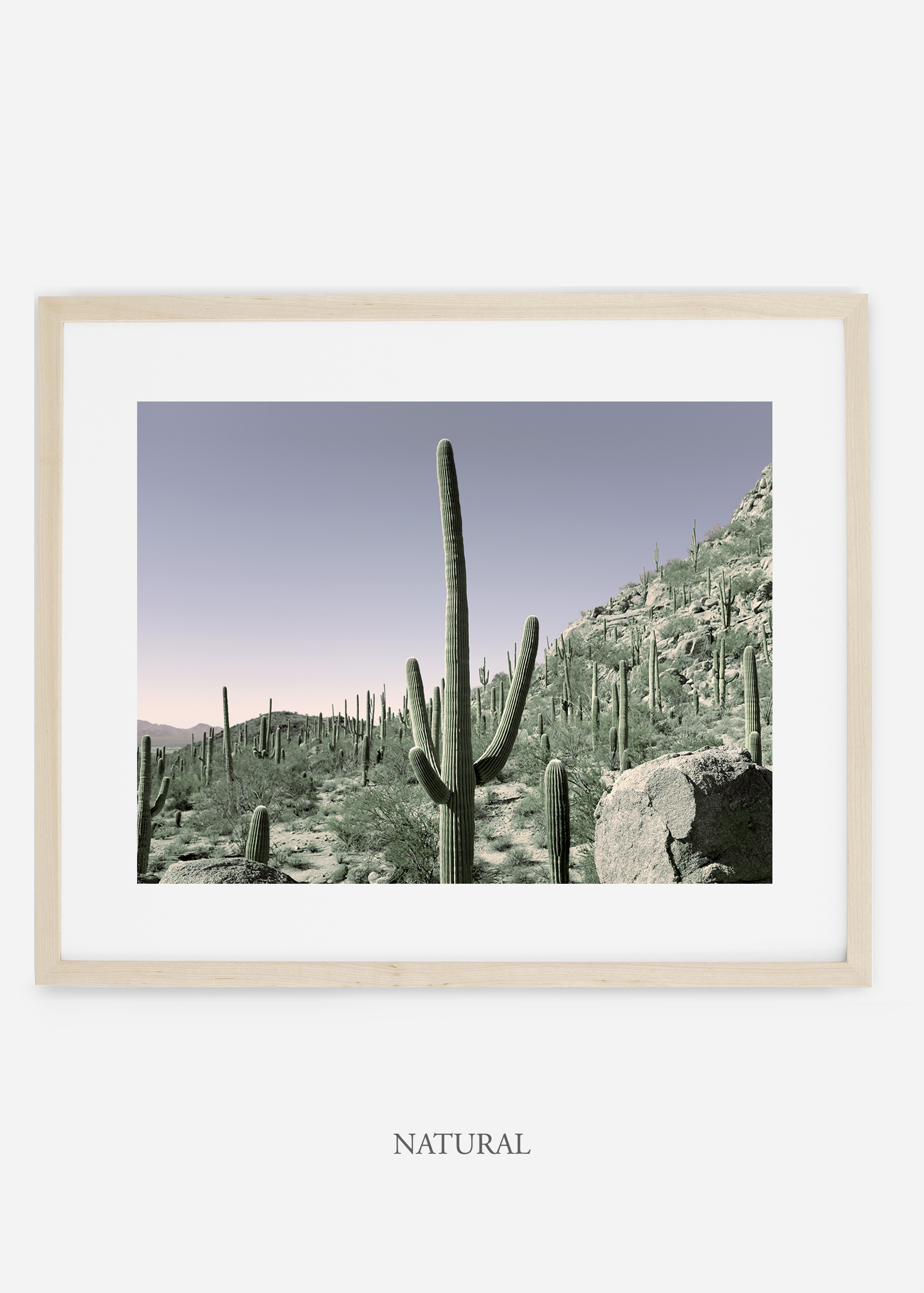naturalframe-saguaroNo.11-wildercalifornia-art-wallart-cactusprint-homedecor-prints-arizona-botanical-artwork-interiordesign.jpg