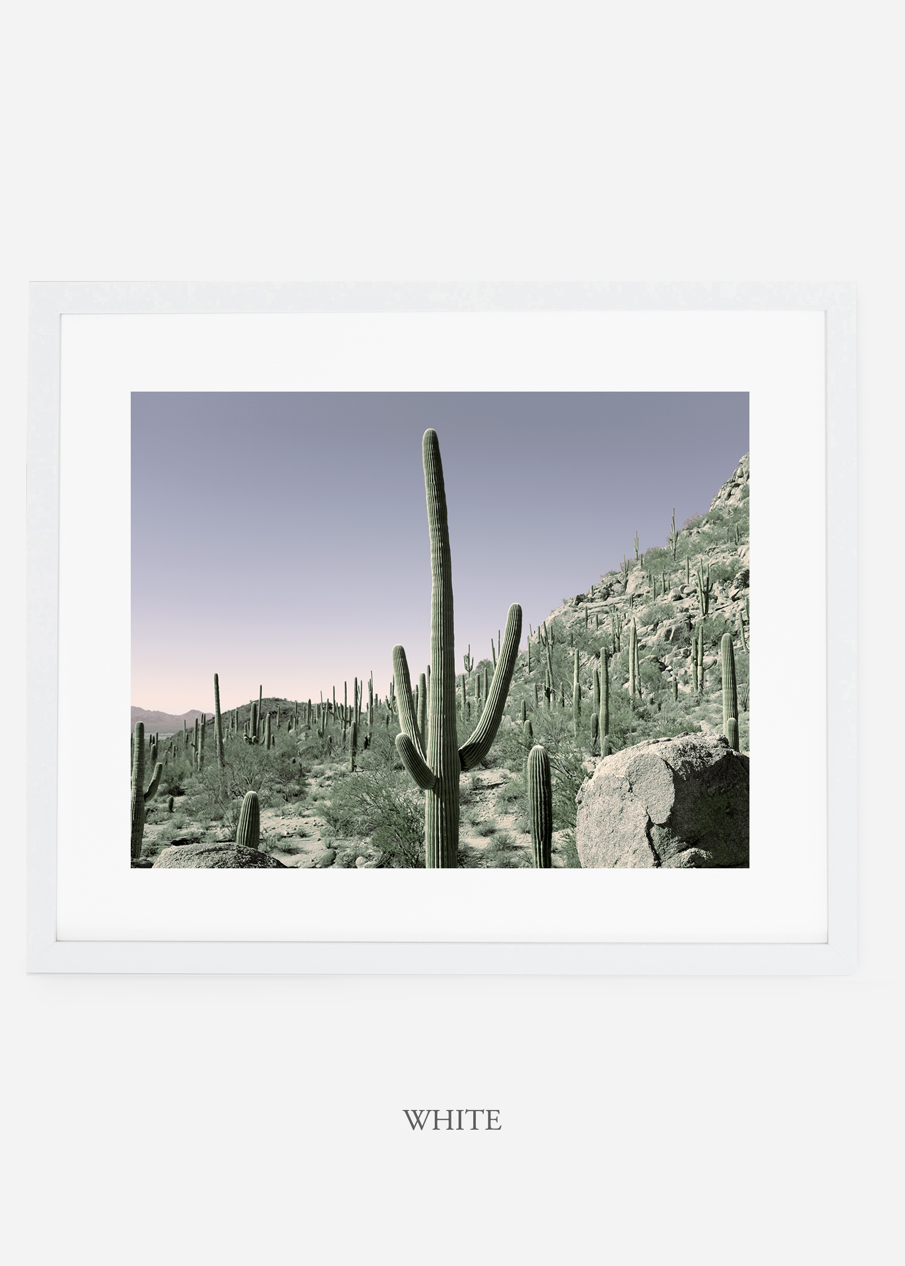 whiteframe-saguaroNo.13-wildercalifornia-art-wallart-cactusprint-homedecor-prints-arizona-botanical-artwork-interiordesign.jpg
