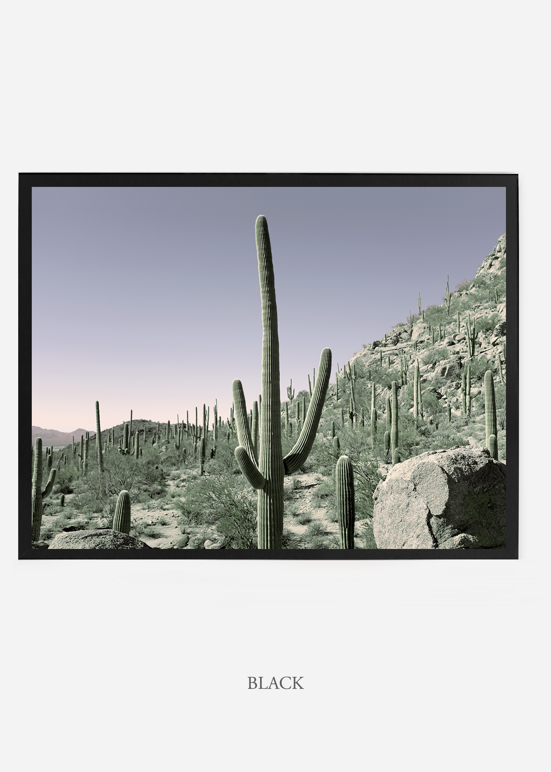 nomat_blackframe-saguaroNo.13-wildercalifornia-art-wallart-cactusprint-homedecor-prints-arizona-botanical-artwork-interiordesign.jpg