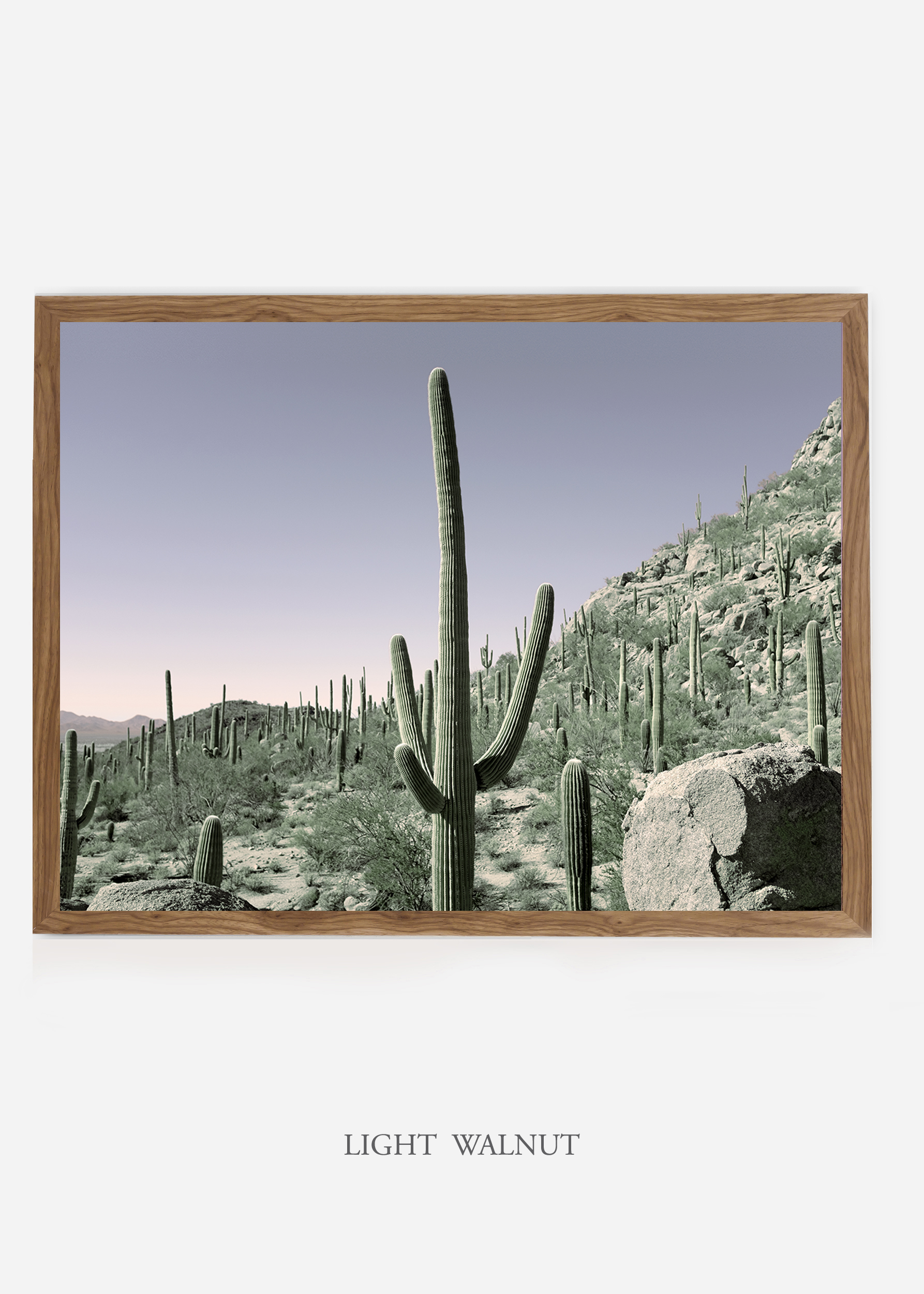 nomat_lightwalnutframe-saguaroNo.13-wildercalifornia-art-wallart-cactusprint-homedecor-prints-arizona-botanical-artwork-interiordesign.jpg