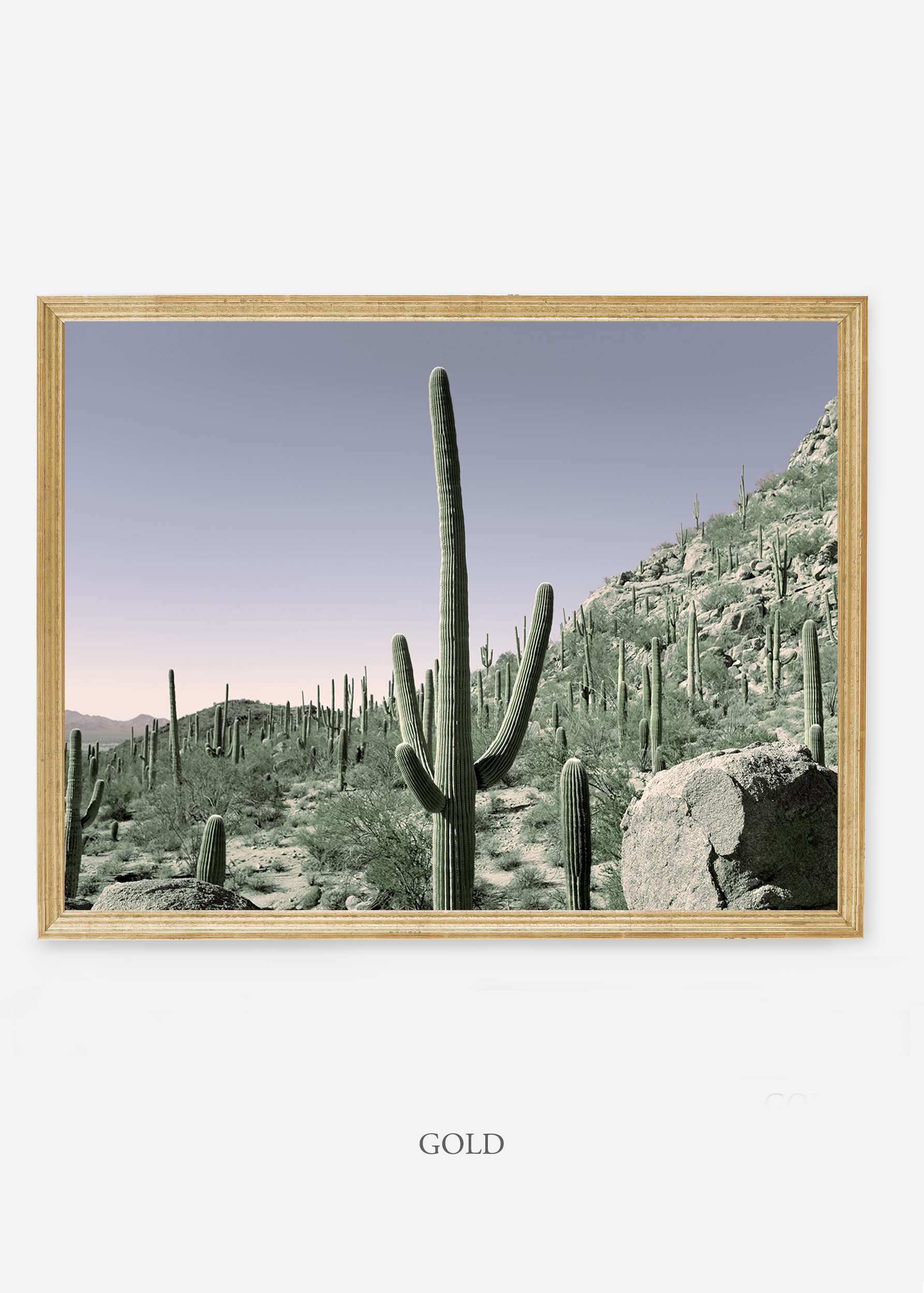 nomat-goldframe-saguaroNo.13-wildercalifornia-art-wallart-cactusprint-homedecor-prints-arizona-botanical-artwork-interiordesign.jpg