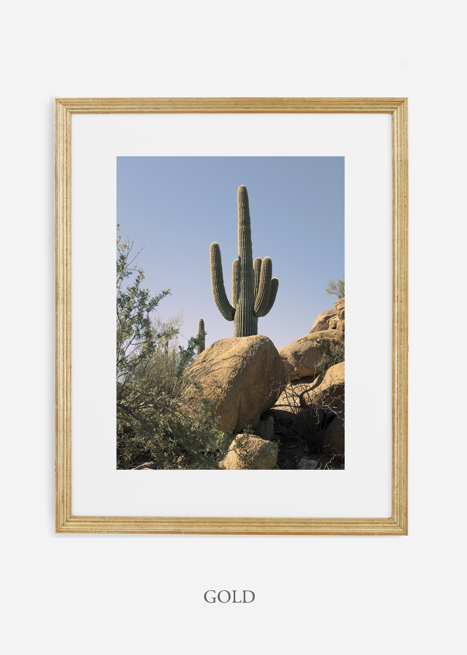 goldframe-saguaroNo.14-wildercalifornia-art-wallart-cactusprint-homedecor-prints-arizona-botanical-artwork-interiordesign.jpg