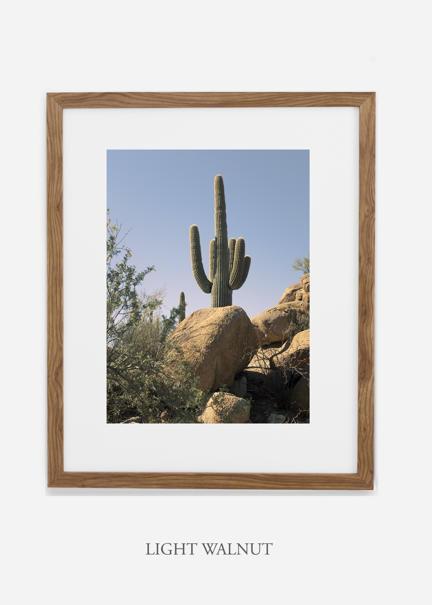 lightwalnutframe-saguaroNo.14-wildercalifornia-art-wallart-cactusprint-homedecor-prints-arizona-botanical-artwork-interiordesign.jpg