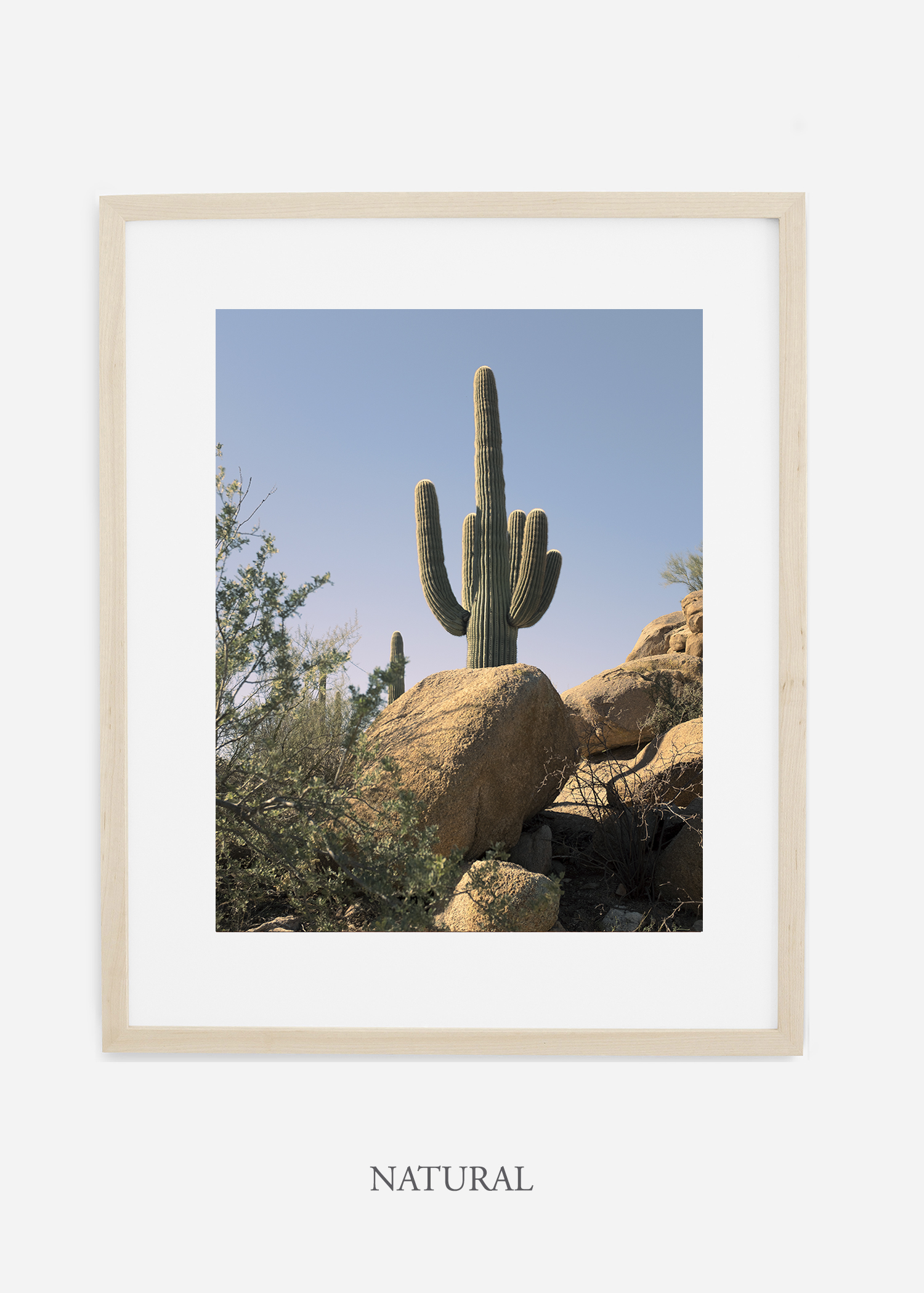 naturalframe-saguaroNo.14-wildercalifornia-art-wallart-cactusprint-homedecor-prints-arizona-botanical-artwork-interiordesign.jpg