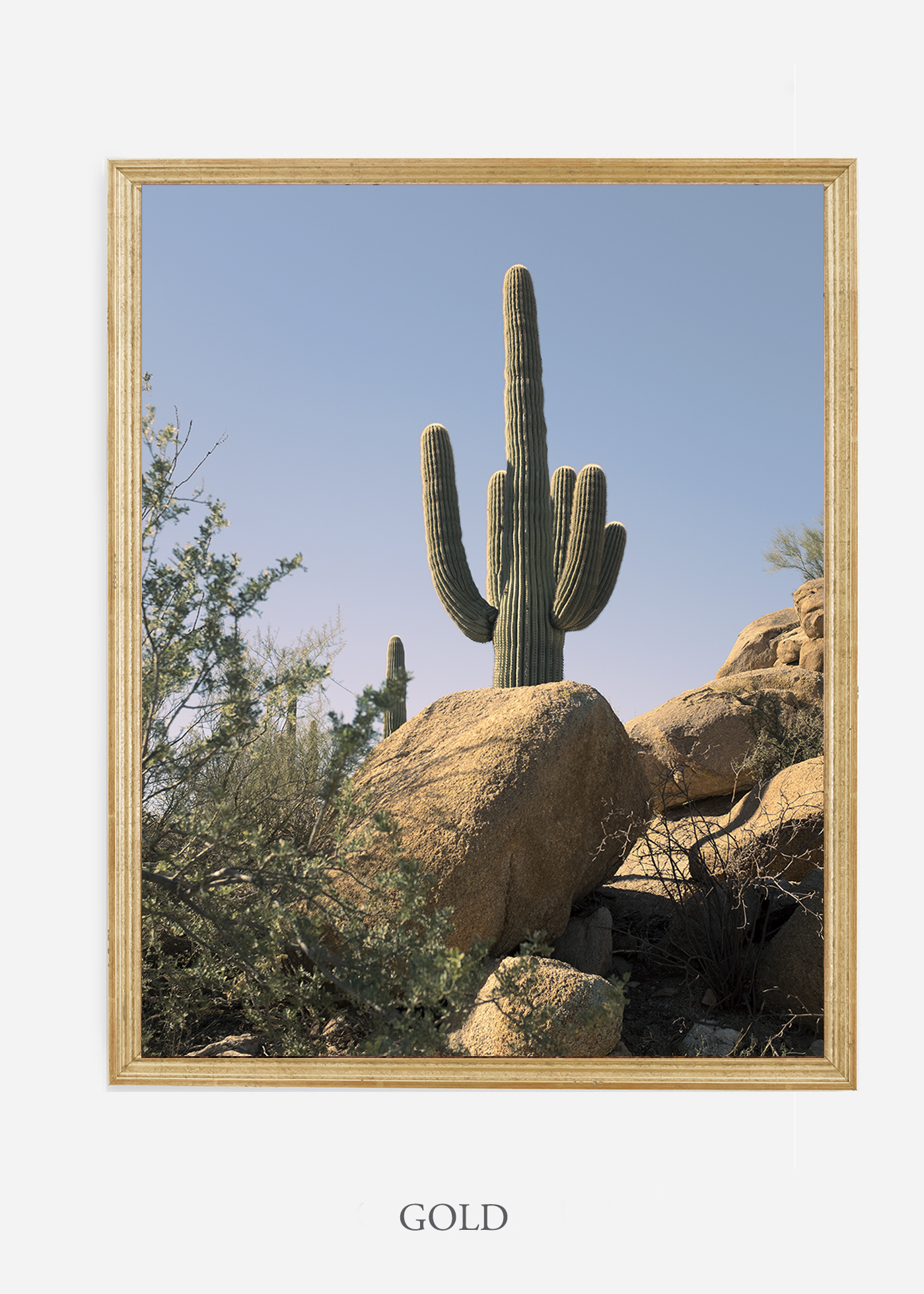 nomat-goldframe-saguaroNo.14-wildercalifornia-art-wallart-cactusprint-homedecor-prints-arizona-botanical-artwork-interiordesign.jpg