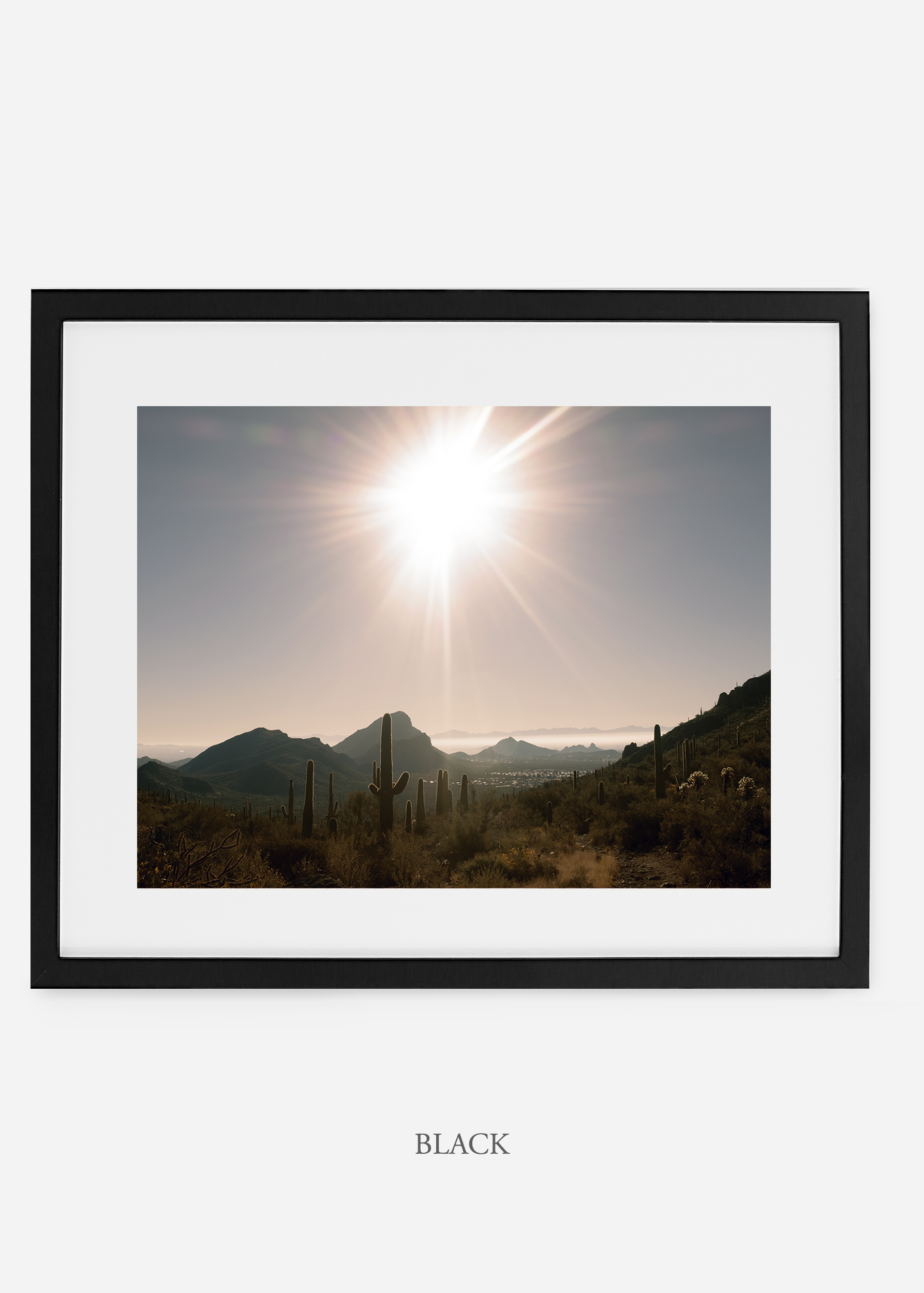 blackframe-saguaroNo.15-wildercalifornia-art-wallart-cactusprint-homedecor-prints-arizona-botanical-artwork-interiordesign.jpg