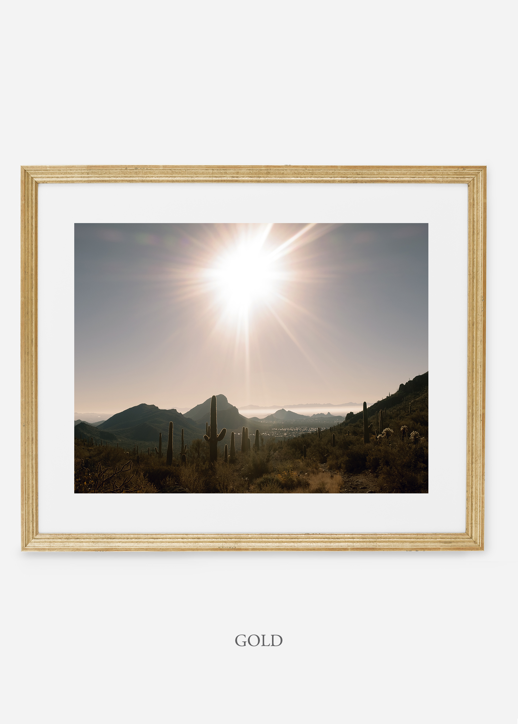 goldframe-saguaroNo.15-wildercalifornia-art-wallart-cactusprint-homedecor-prints-arizona-botanical-artwork-interiordesign.jpg