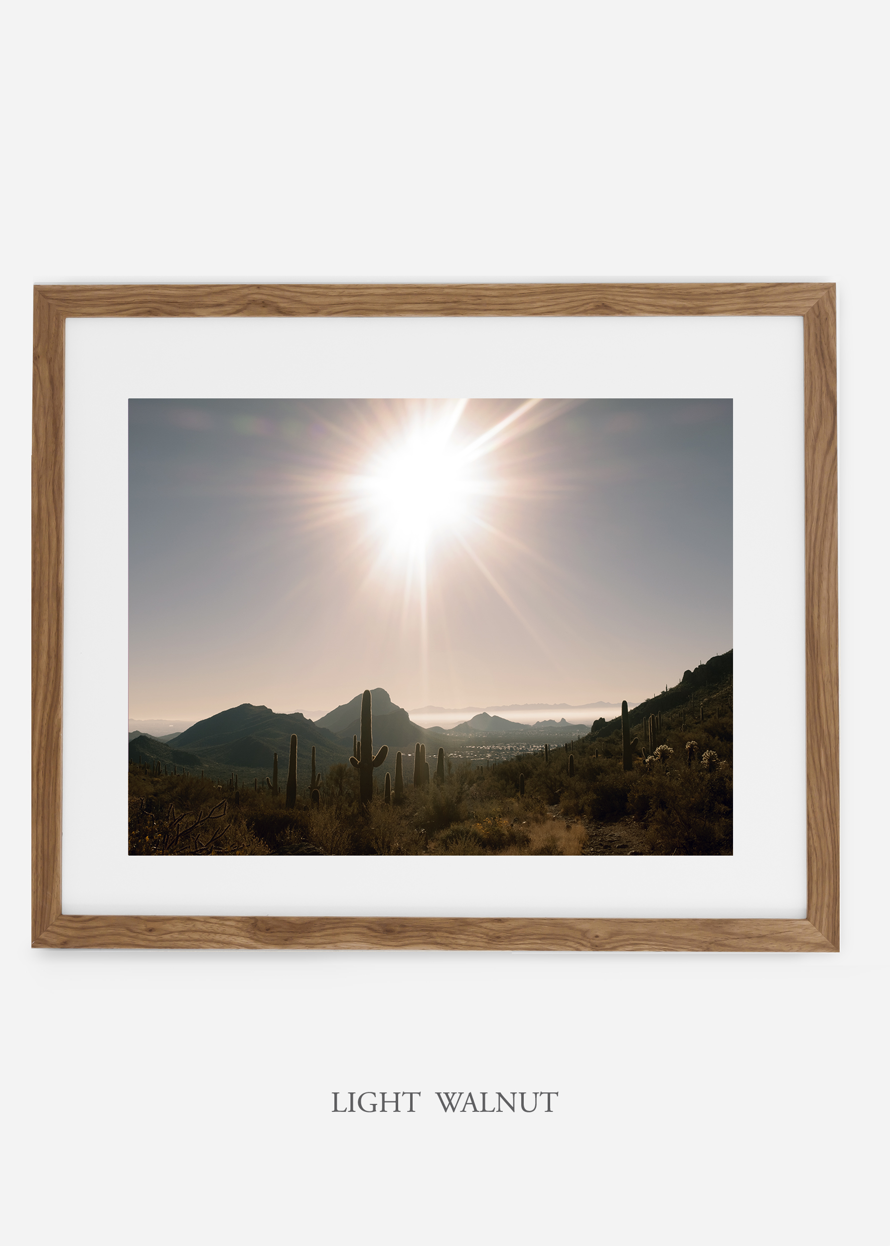 lightwalnutframe-saguaroNo.15-wildercalifornia-art-wallart-cactusprint-homedecor-prints-arizona-botanical-artwork-interiordesign.jpg