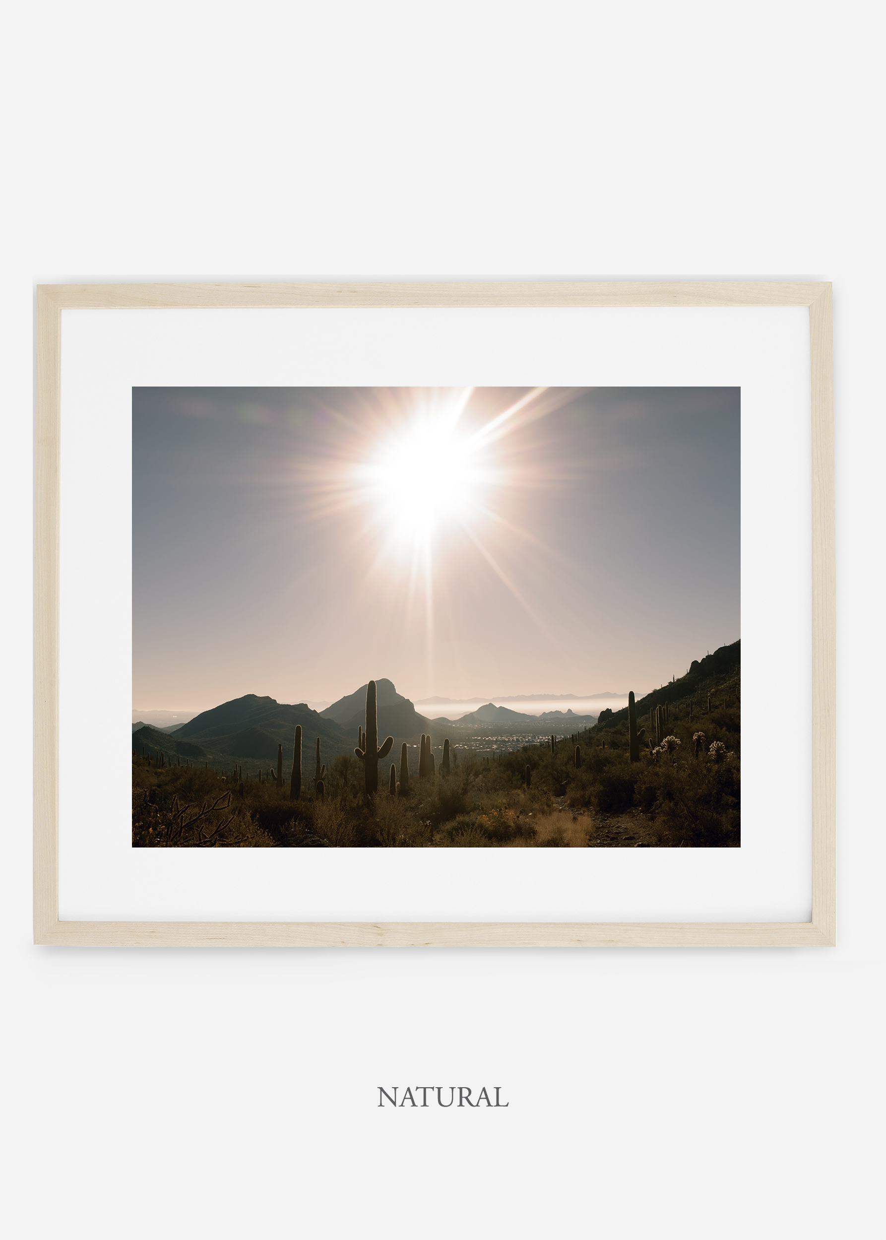naturalframe-saguaroNo.15-wildercalifornia-art-wallart-cactusprint-homedecor-prints-arizona-botanical-artwork-interiordesign.jpg