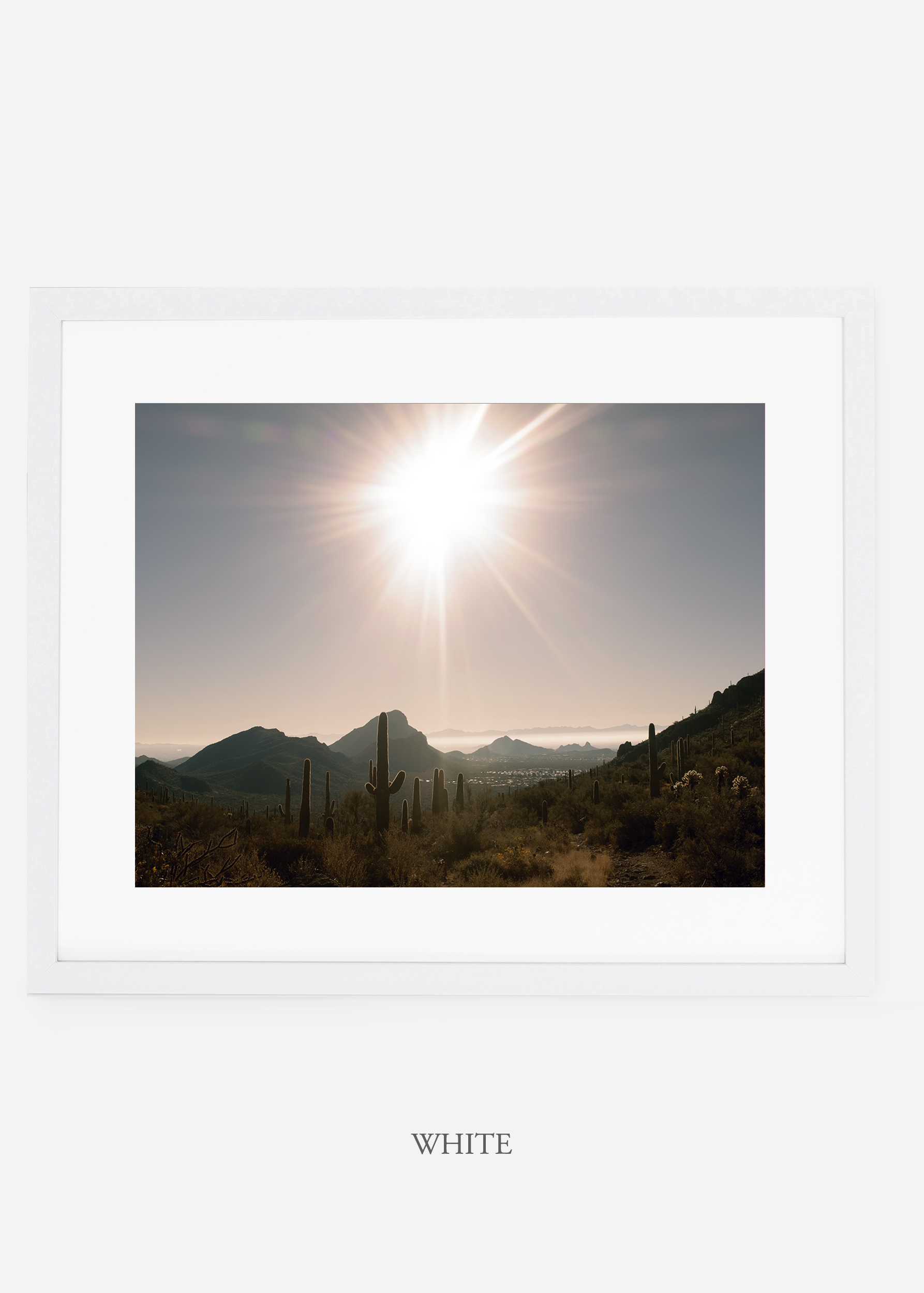 whiteframe-saguaroNo.15-wildercalifornia-art-wallart-cactusprint-homedecor-prints-arizona-botanical-artwork-interiordesign.jpg