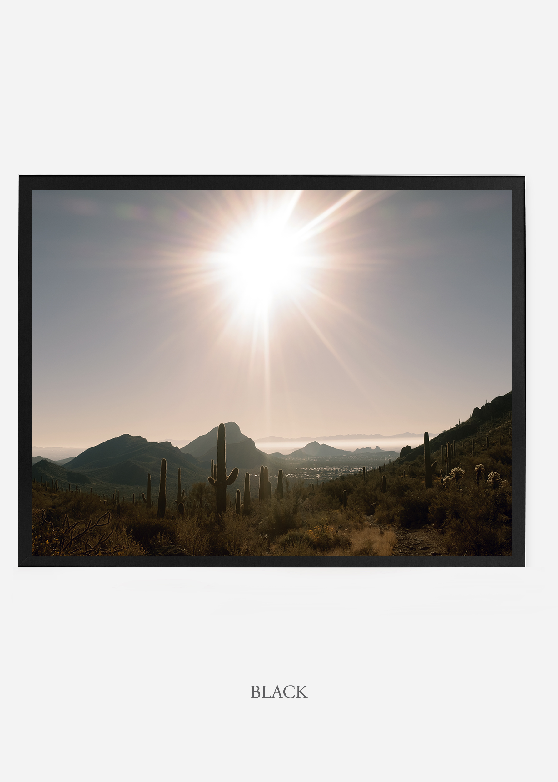 nomat_blackframe-saguaroNo.15-wildercalifornia-art-wallart-cactusprint-homedecor-prints-arizona-botanical-artwork-interiordesign.jpg