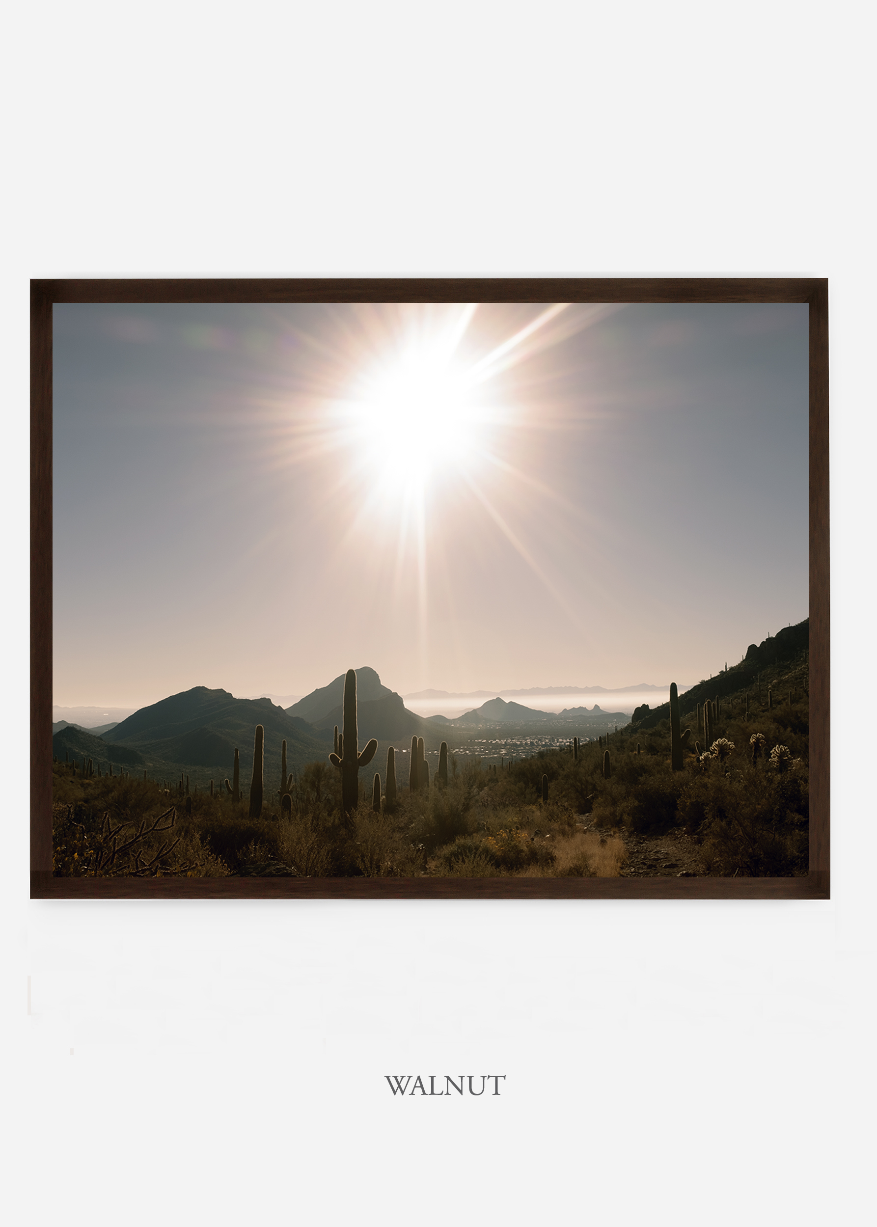 nomat_walnutframe-saguaroNo.15-wildercalifornia-art-wallart-cactusprint-homedecor-prints-arizona-botanical-artwork-interiordesign.jpg