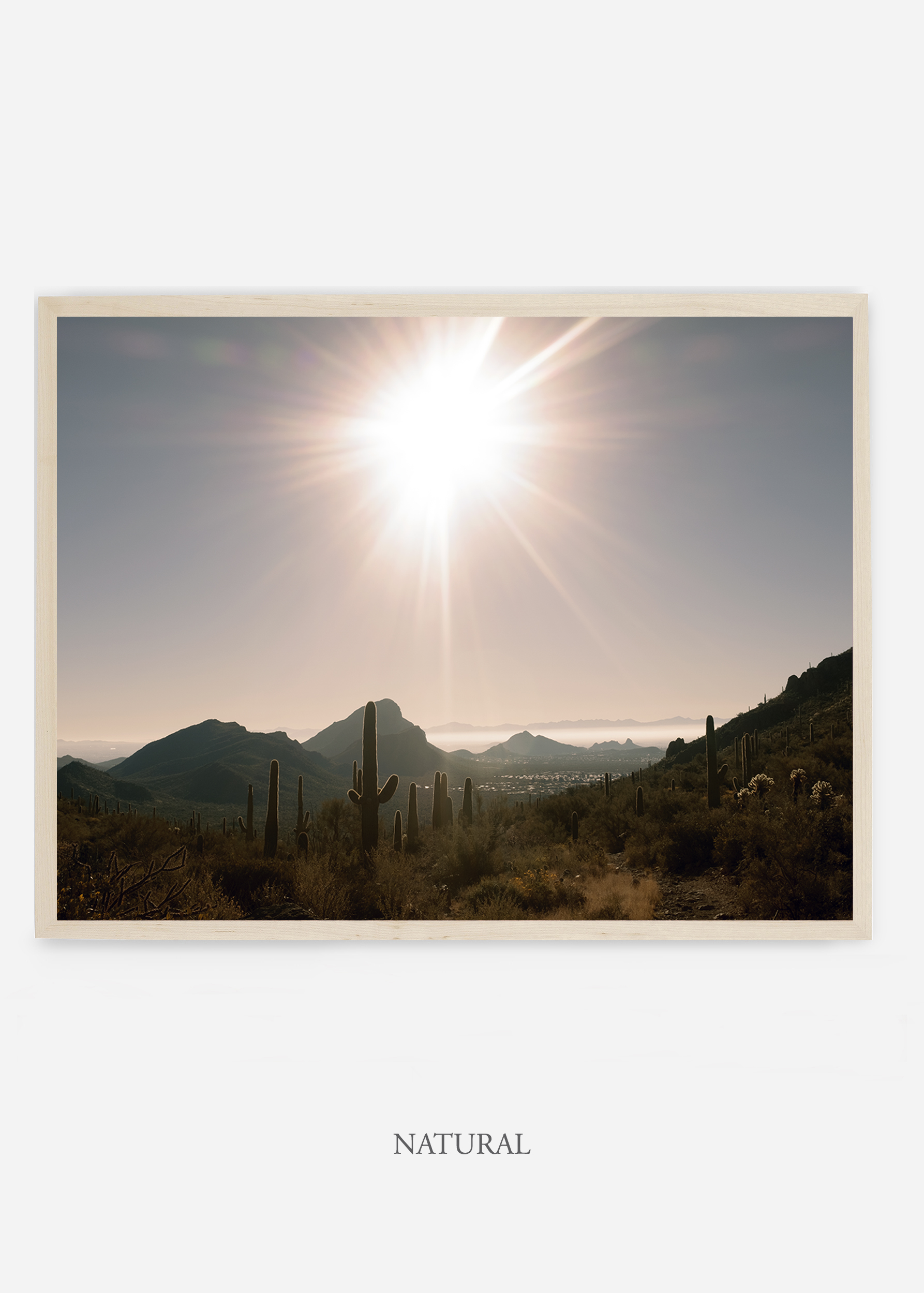 nomat_naturalframe-saguaroNo.15-wildercalifornia-art-wallart-cactusprint-homedecor-prints-arizona-botanical-artwork-interiordesign.jpg