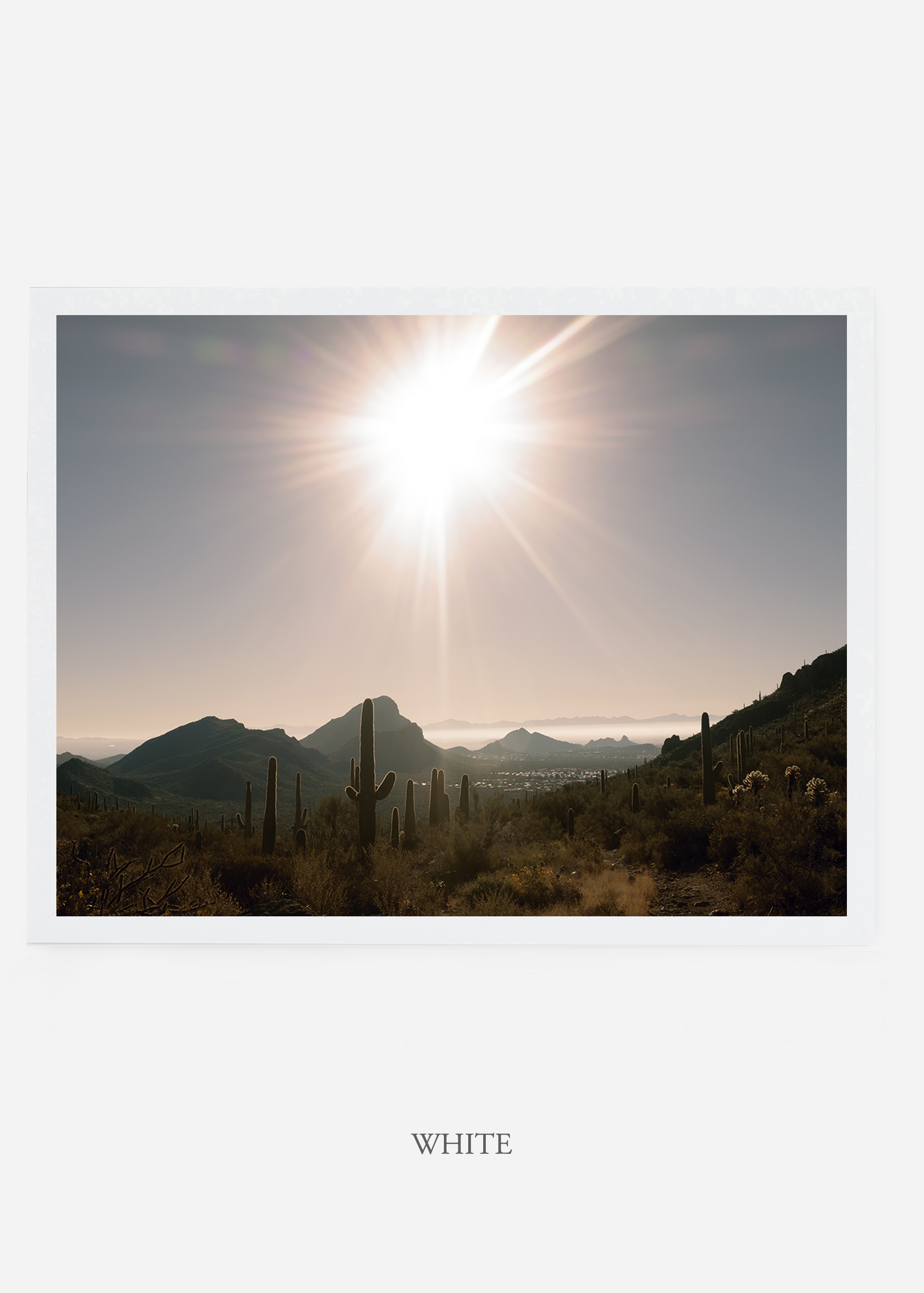 nomat_whiteframe-saguaroNo.15-wildercalifornia-art-wallart-cactusprint-homedecor-prints-arizona-botanical-artwork-interiordesign.jpg