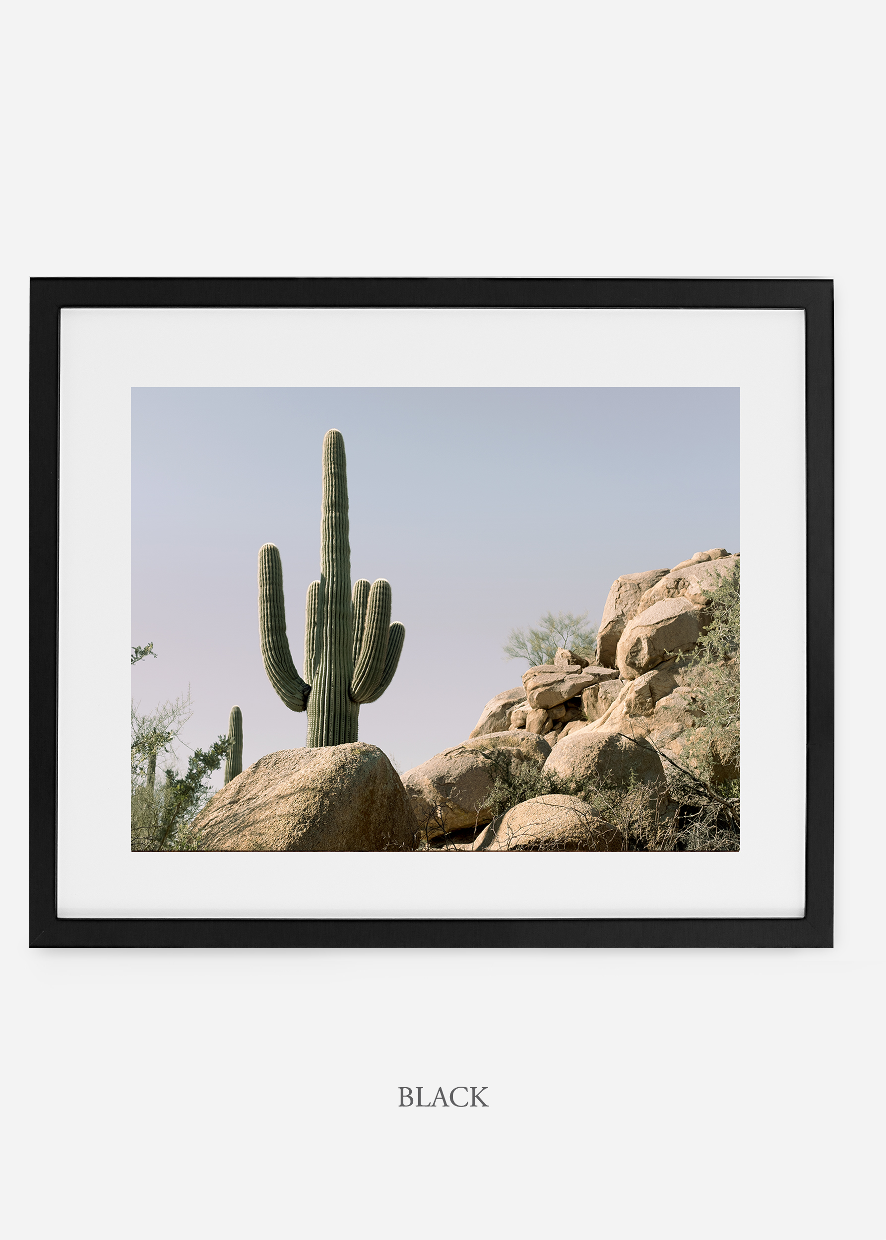 blackframe-saguaroNo.17-wildercalifornia-art-wallart-cactusprint-homedecor-prints-arizona-botanical-artwork-interiordesign.jpg