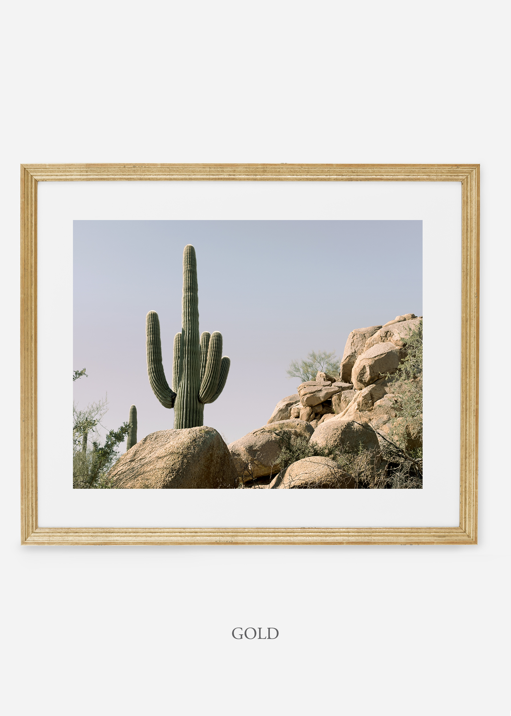 goldframe-saguaroNo.17-wildercalifornia-art-wallart-cactusprint-homedecor-prints-arizona-botanical-artwork-interiordesign.jpg