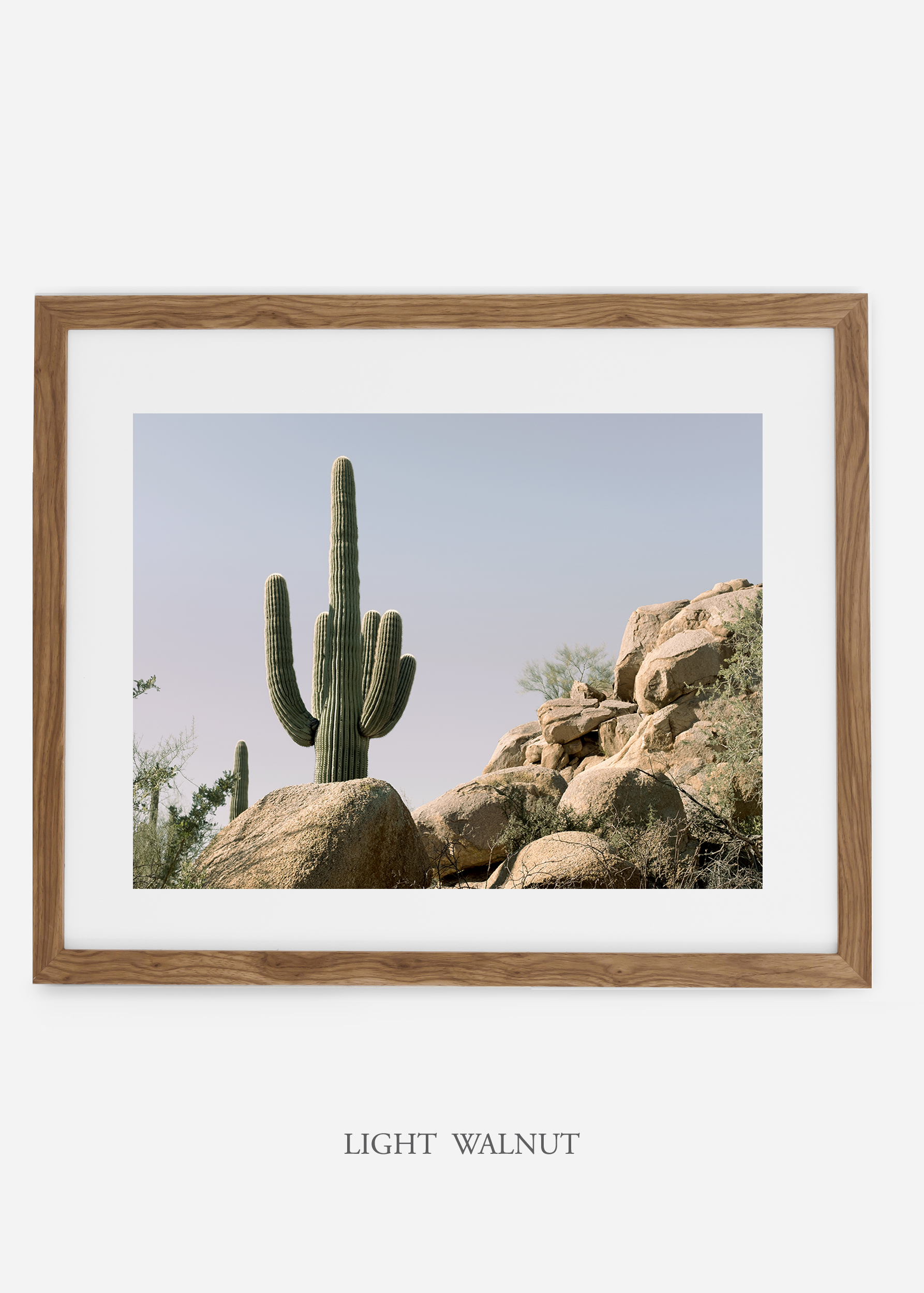 lightwalnutframe-saguaroNo.17-wildercalifornia-art-wallart-cactusprint-homedecor-prints-arizona-botanical-artwork-interiordesign.jpg