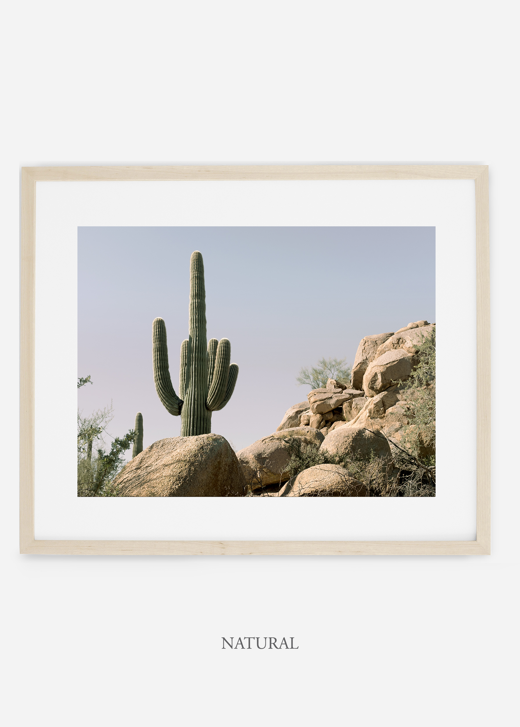 naturalframe-saguaroNo.17-wildercalifornia-art-wallart-cactusprint-homedecor-prints-arizona-botanical-artwork-interiordesign.jpg