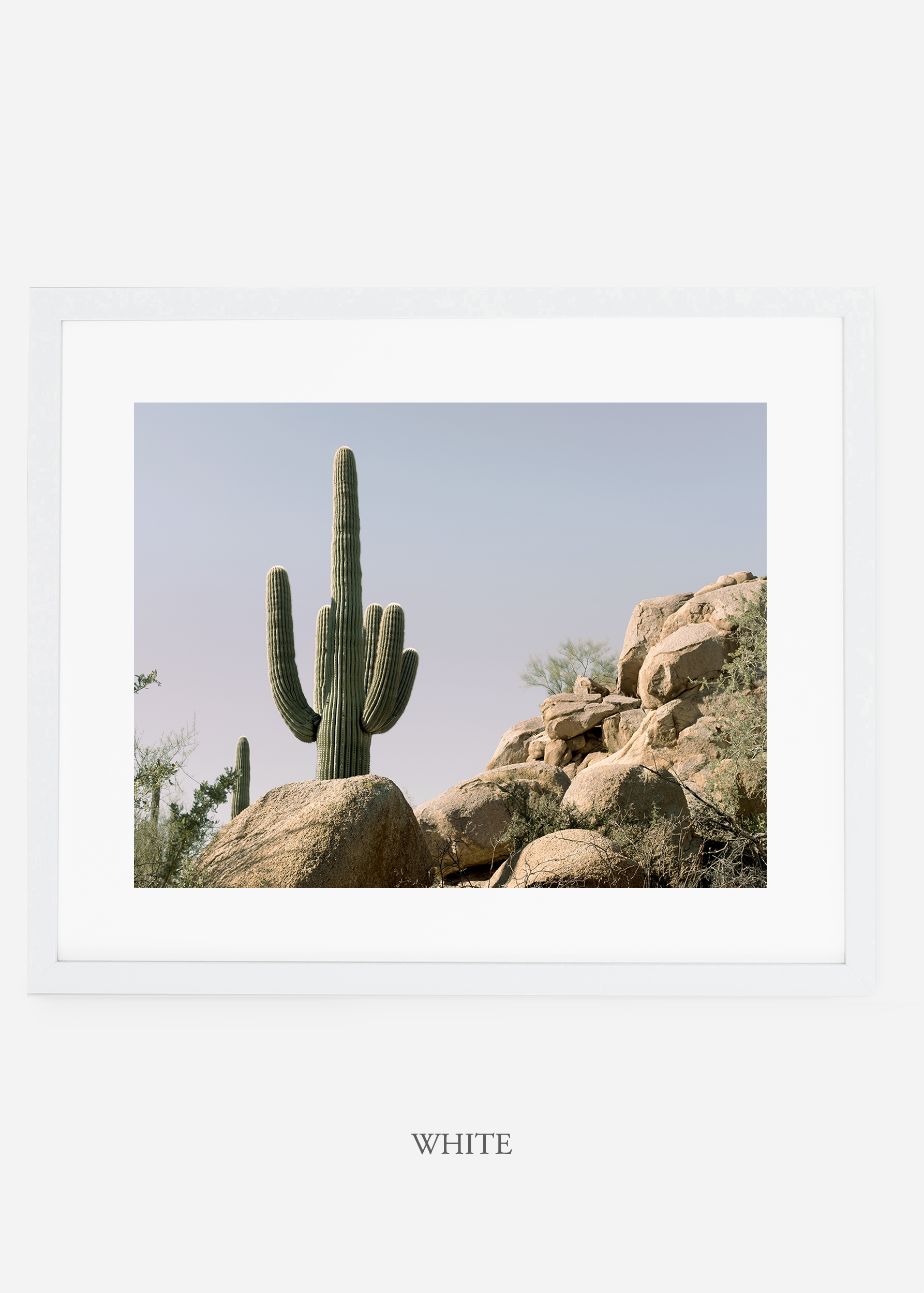 whiteframe-saguaroNo.17-wildercalifornia-art-wallart-cactusprint-homedecor-prints-arizona-botanical-artwork-interiordesign.jpg