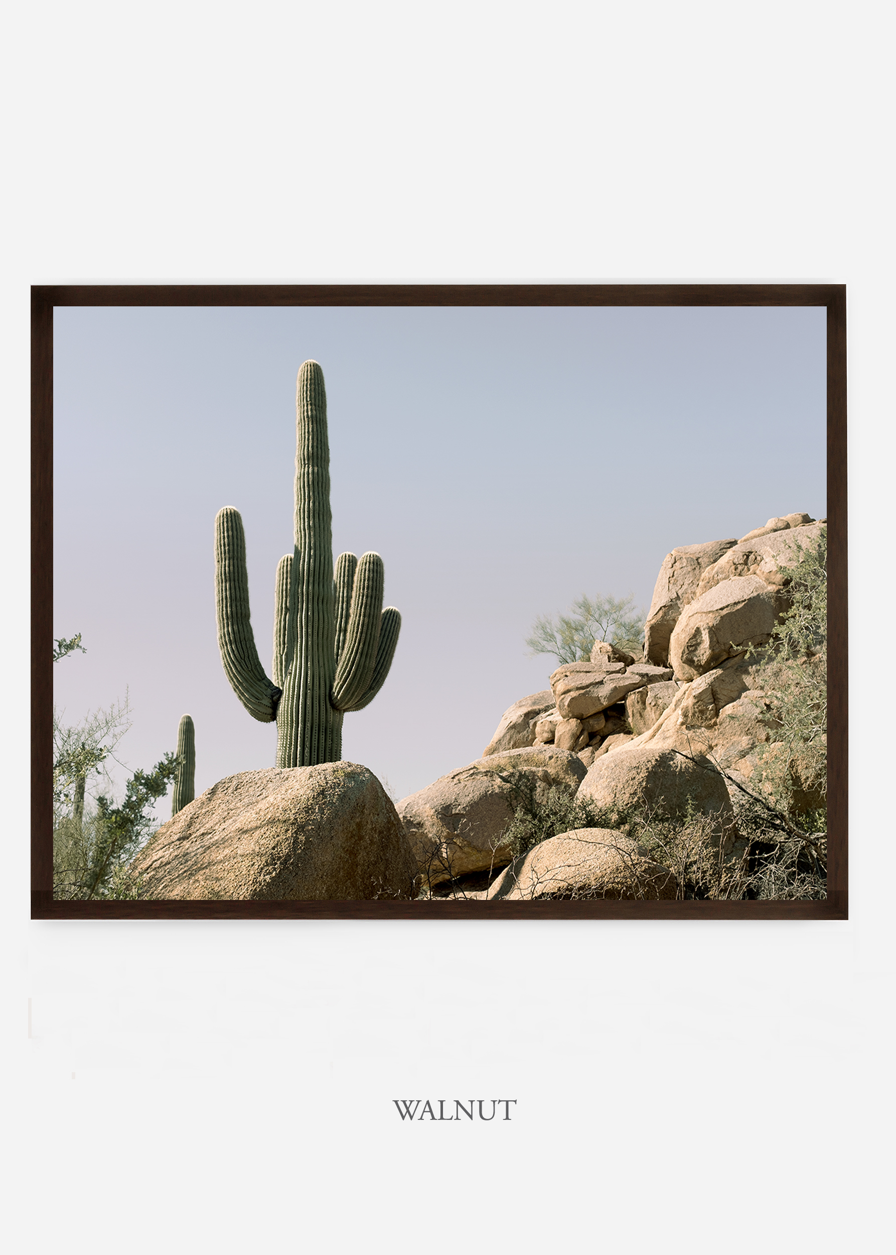 nomat_walnutframe-saguaroNo.17-wildercalifornia-art-wallart-cactusprint-homedecor-prints-arizona-botanical-artwork-interiordesign.jpg