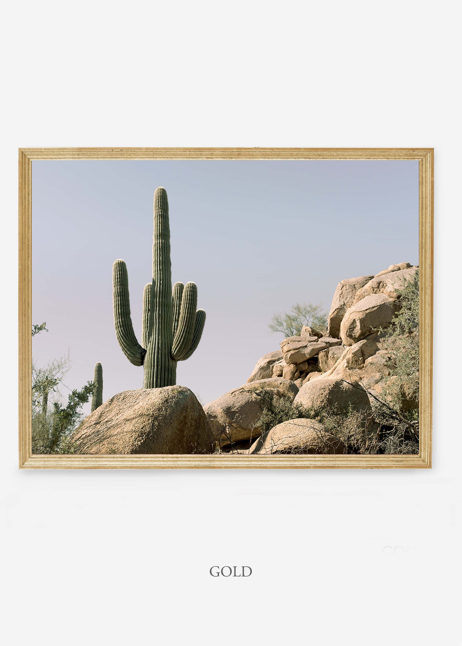 nomat-goldframe-saguaroNo.17-wildercalifornia-art-wallart-cactusprint-homedecor-prints-arizona-botanical-artwork-interiordesign.jpg
