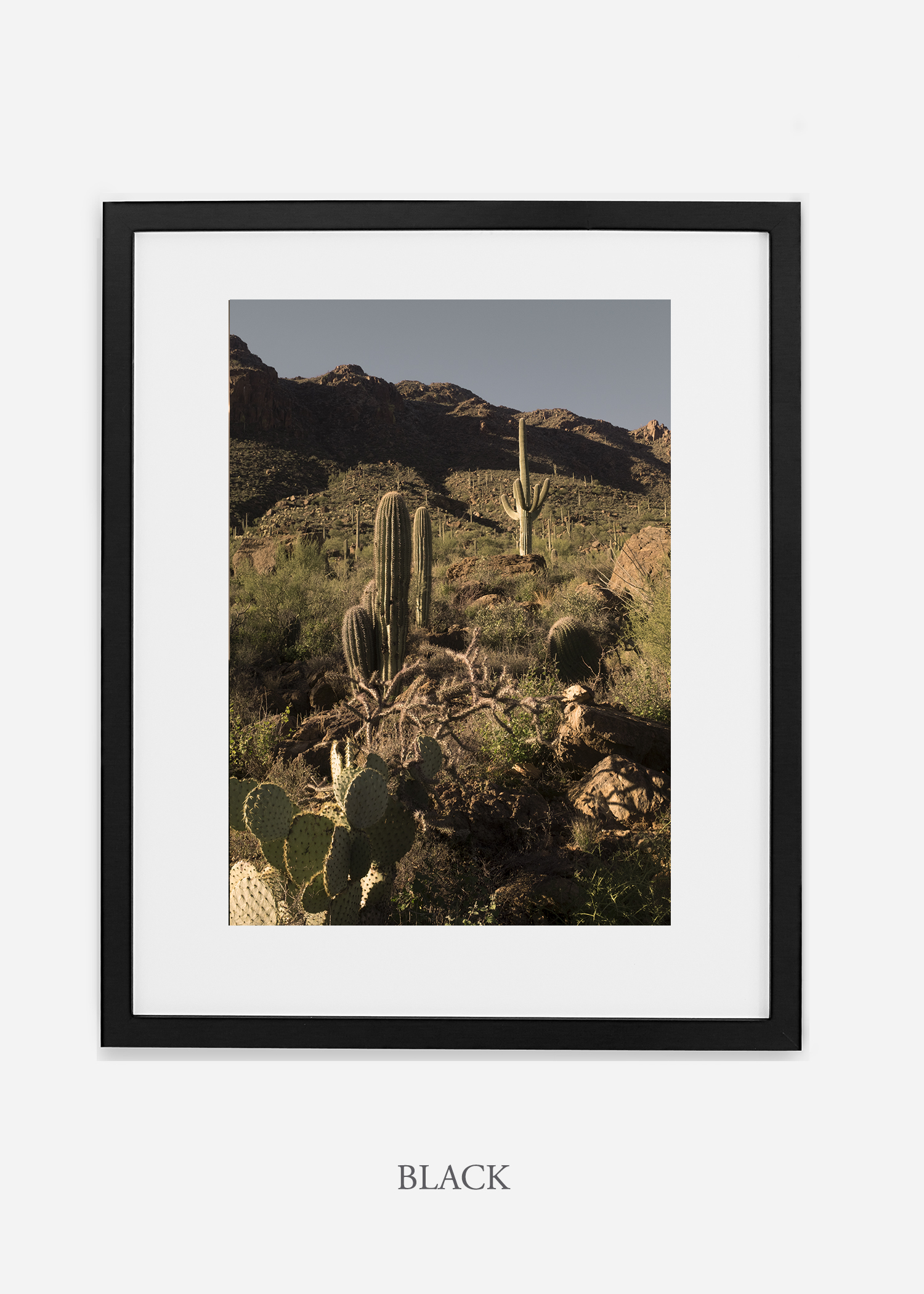 blackframe-saguaroNo.18-wildercalifornia-art-wallart-cactusprint-homedecor-prints-arizona-botanical-artwork-interiordesign.jpg