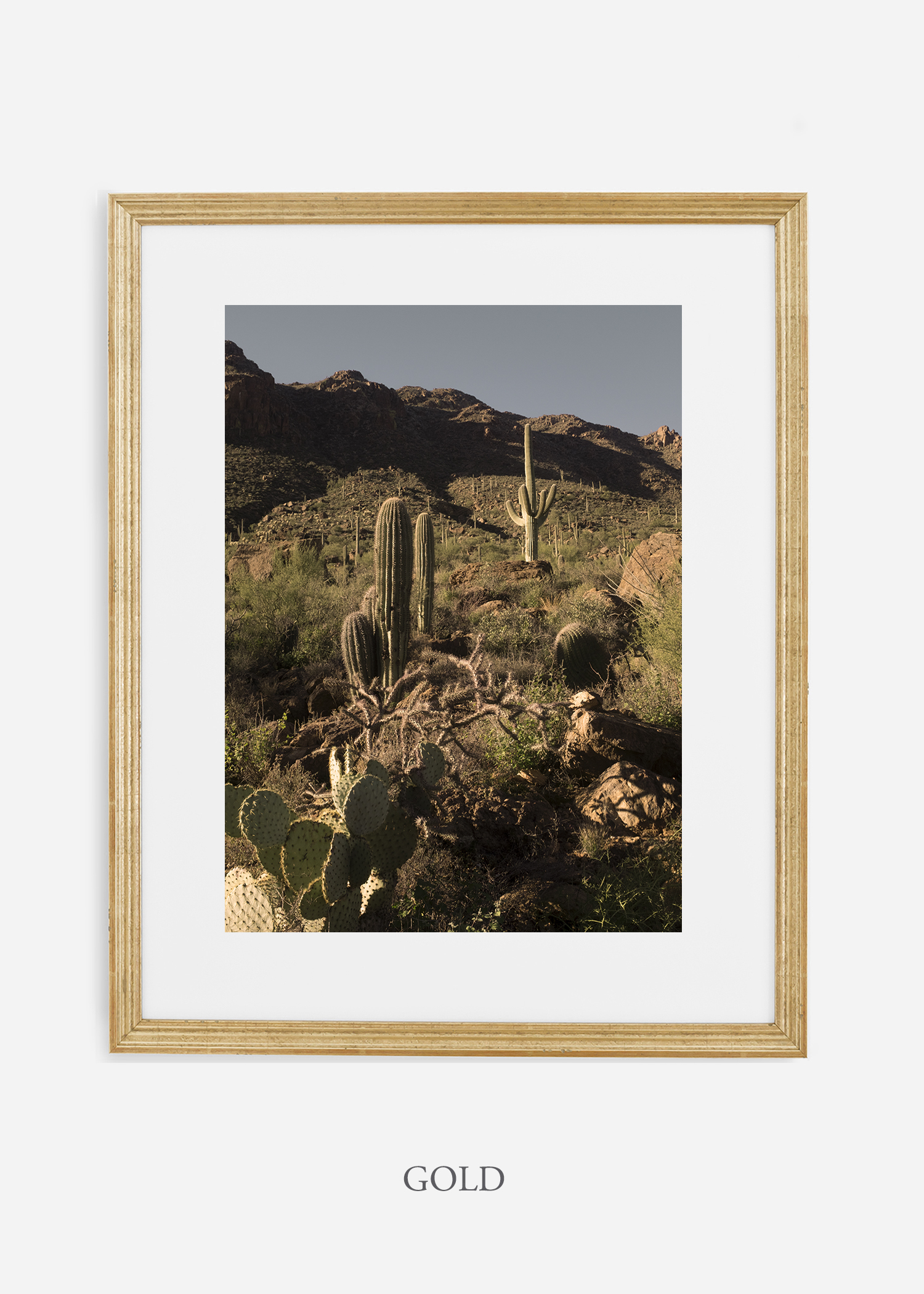goldframe-saguaroNo.18-wildercalifornia-art-wallart-cactusprint-homedecor-prints-arizona-botanical-artwork-interiordesign.jpg