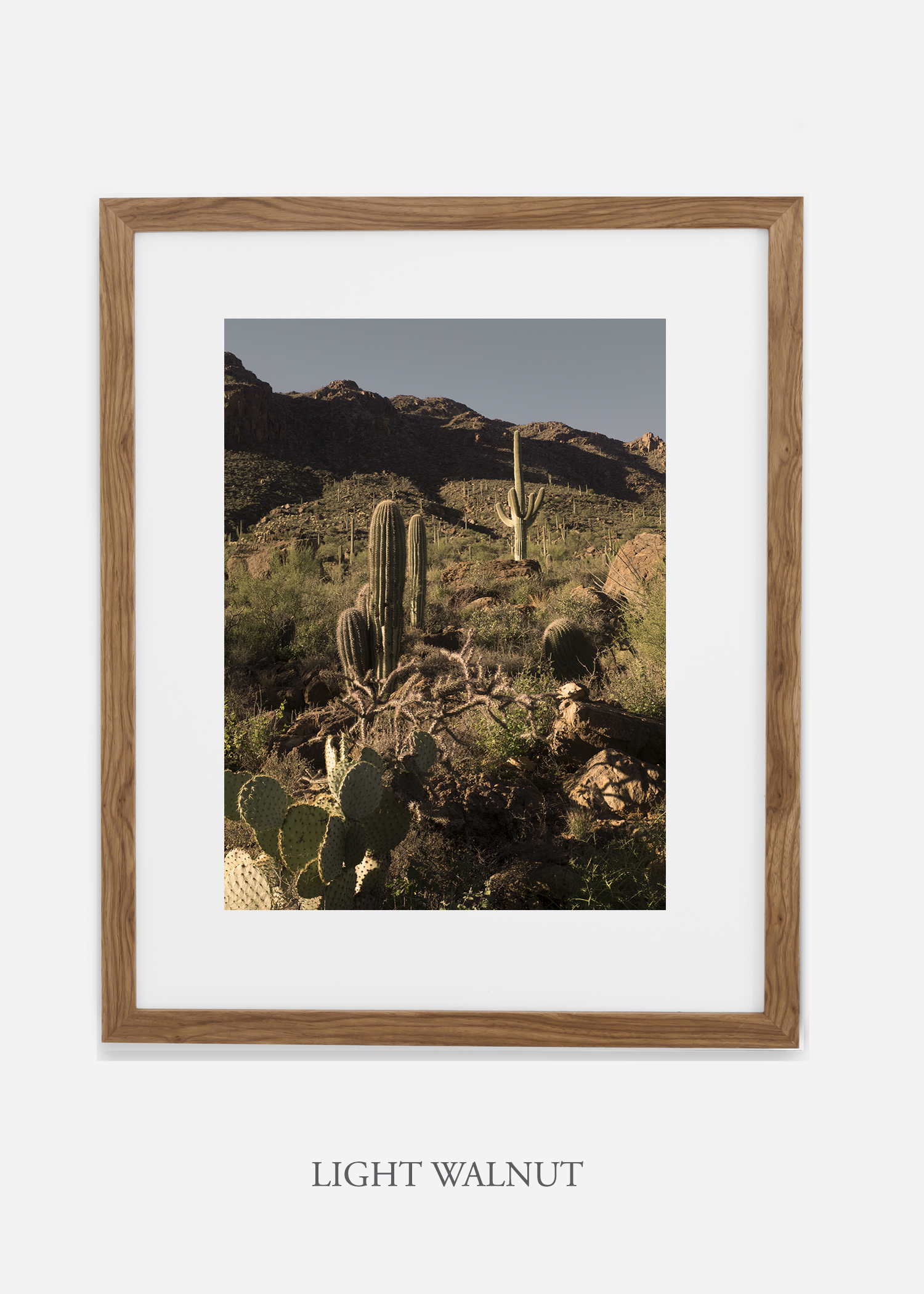 lightwalnutframe-saguaroNo.18-wildercalifornia-art-wallart-cactusprint-homedecor-prints-arizona-botanical-artwork-interiordesign.jpg
