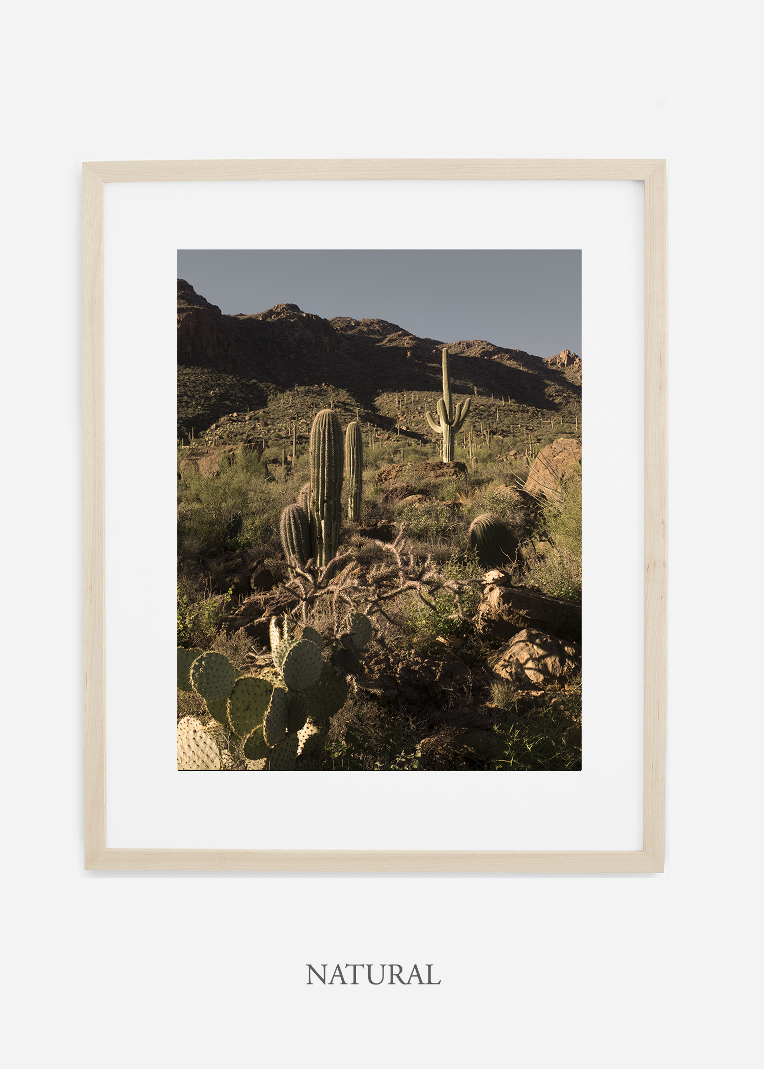 naturalframe-saguaroNo.18-wildercalifornia-art-wallart-cactusprint-homedecor-prints-arizona-botanical-artwork-interiordesign.jpg