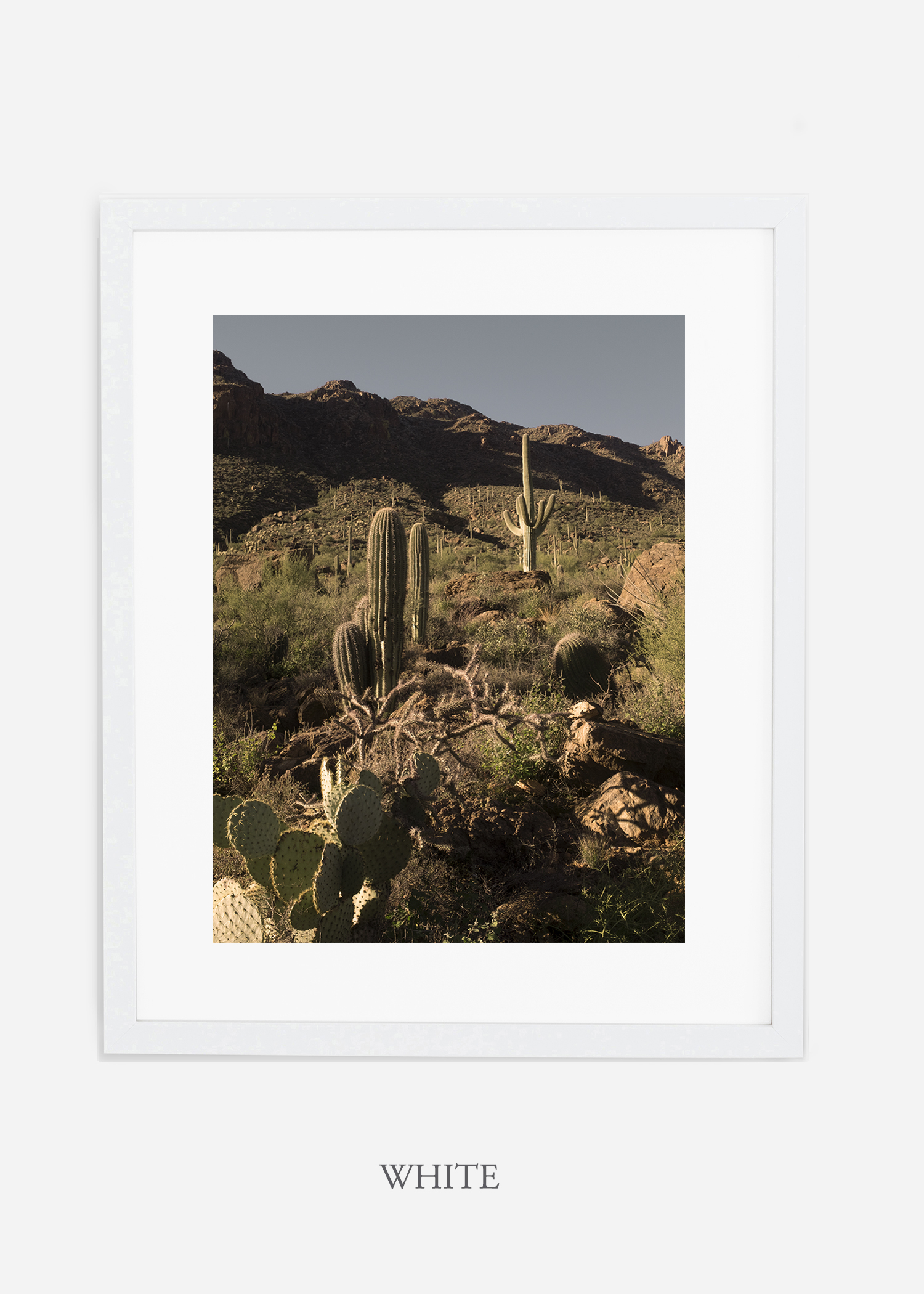 whiteframe-saguaroNo.18-wildercalifornia-art-wallart-cactusprint-homedecor-prints-arizona-botanical-artwork-interiordesign.jpg