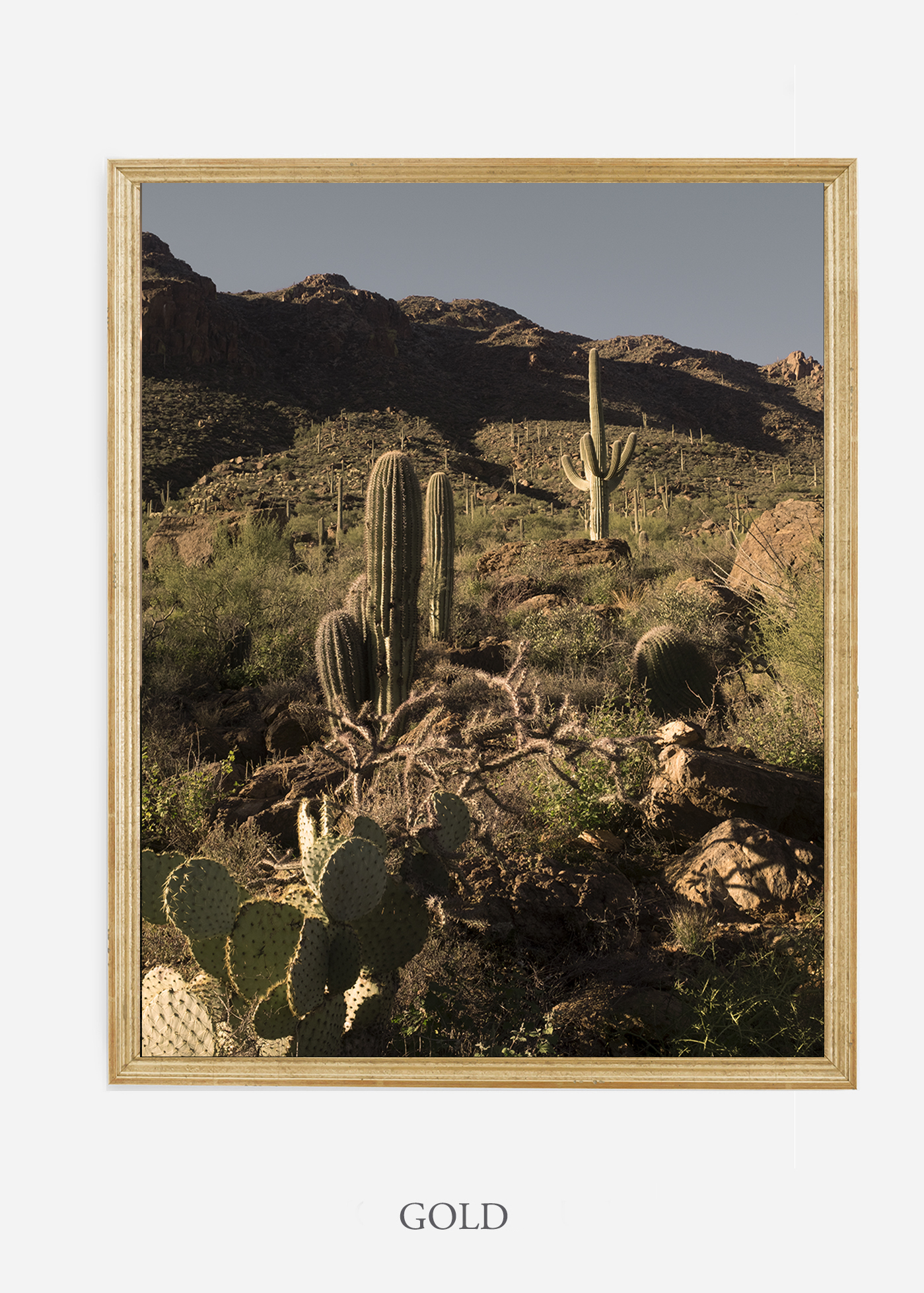 nomat-goldframe-saguaroNo.18-wildercalifornia-art-wallart-cactusprint-homedecor-prints-arizona-botanical-artwork-interiordesign.jpg