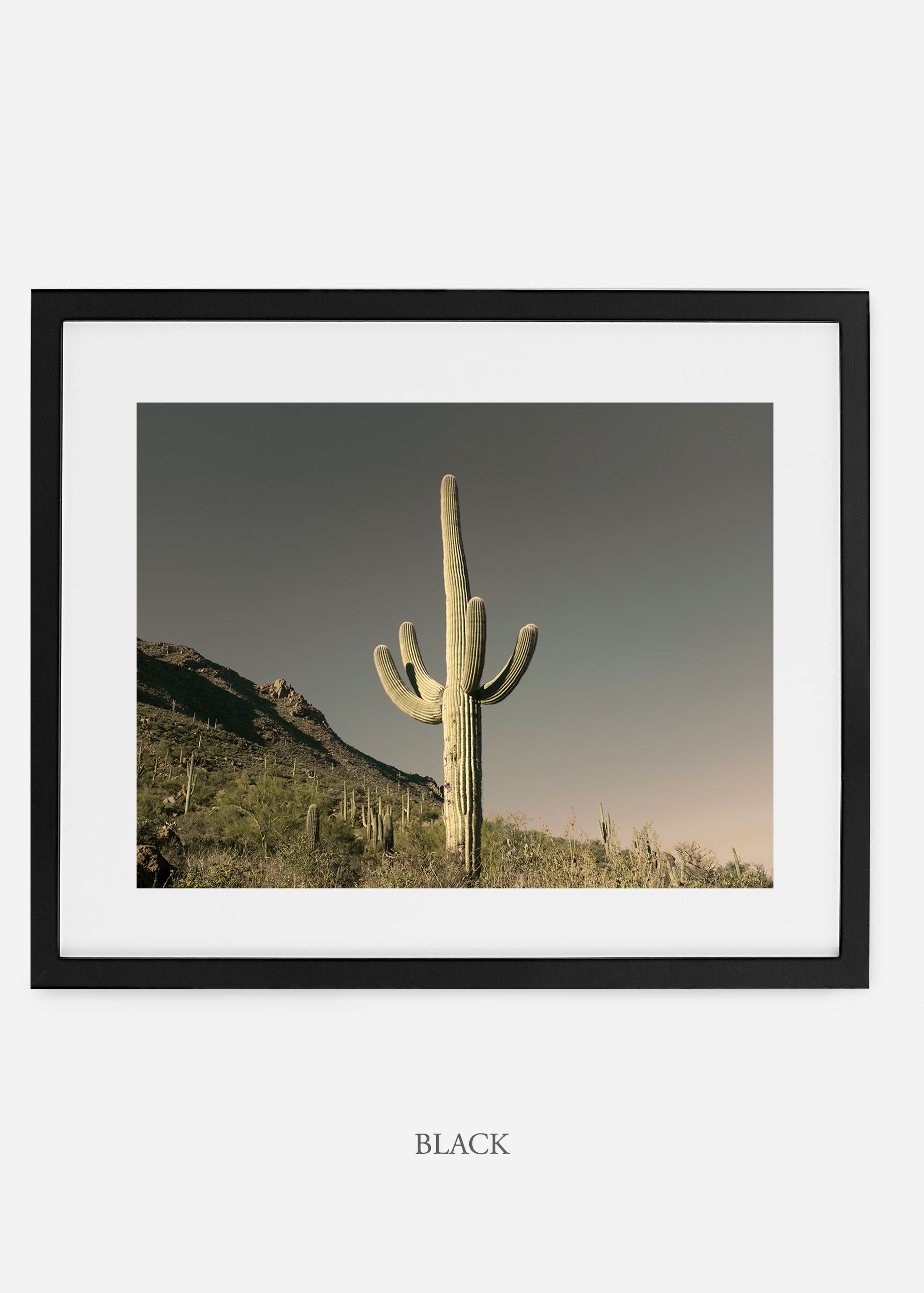 blackframe-saguaroNo.19-wildercalifornia-art-wallart-cactusprint-homedecor-prints-arizona-botanical-artwork-interiordesign.jpg
