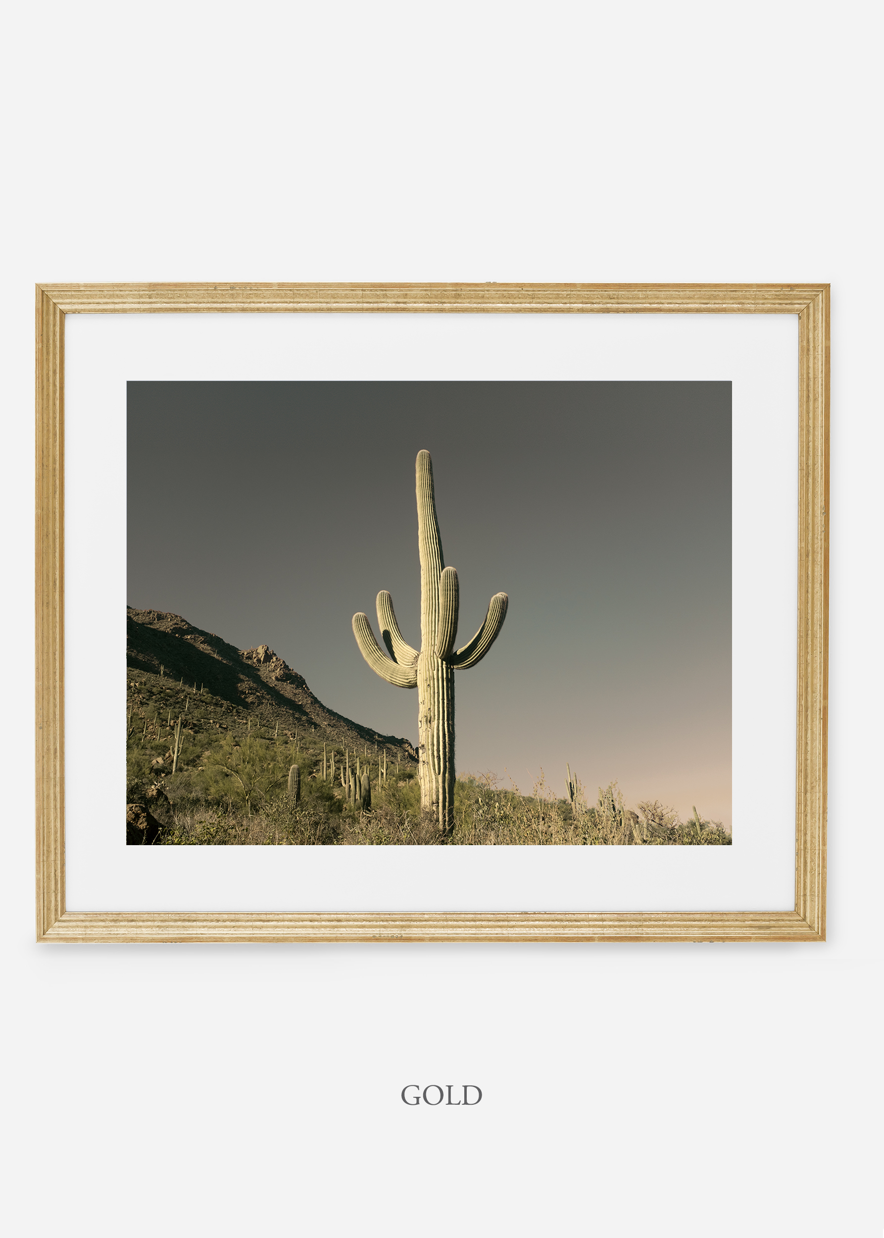 goldframe-saguaroNo.19-wildercalifornia-art-wallart-cactusprint-homedecor-prints-arizona-botanical-artwork-interiordesign.jpg