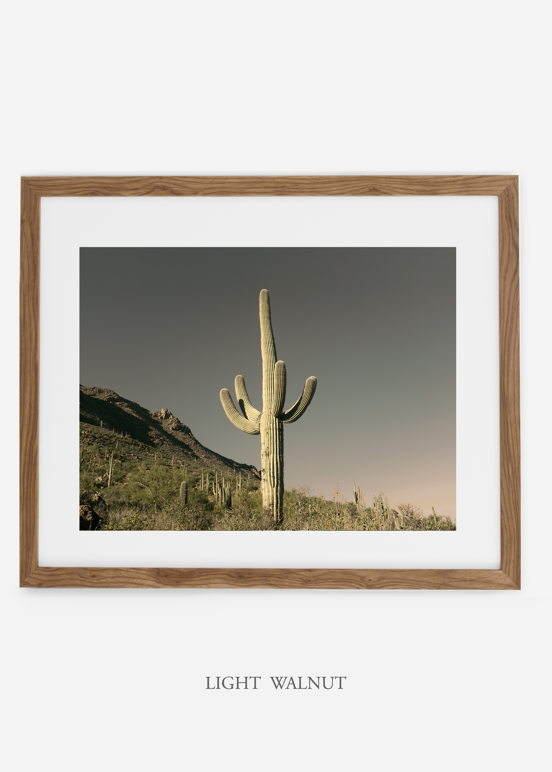 lightwalnutframe-saguaroNo.19-wildercalifornia-art-wallart-cactusprint-homedecor-prints-arizona-botanical-artwork-interiordesign.jpg