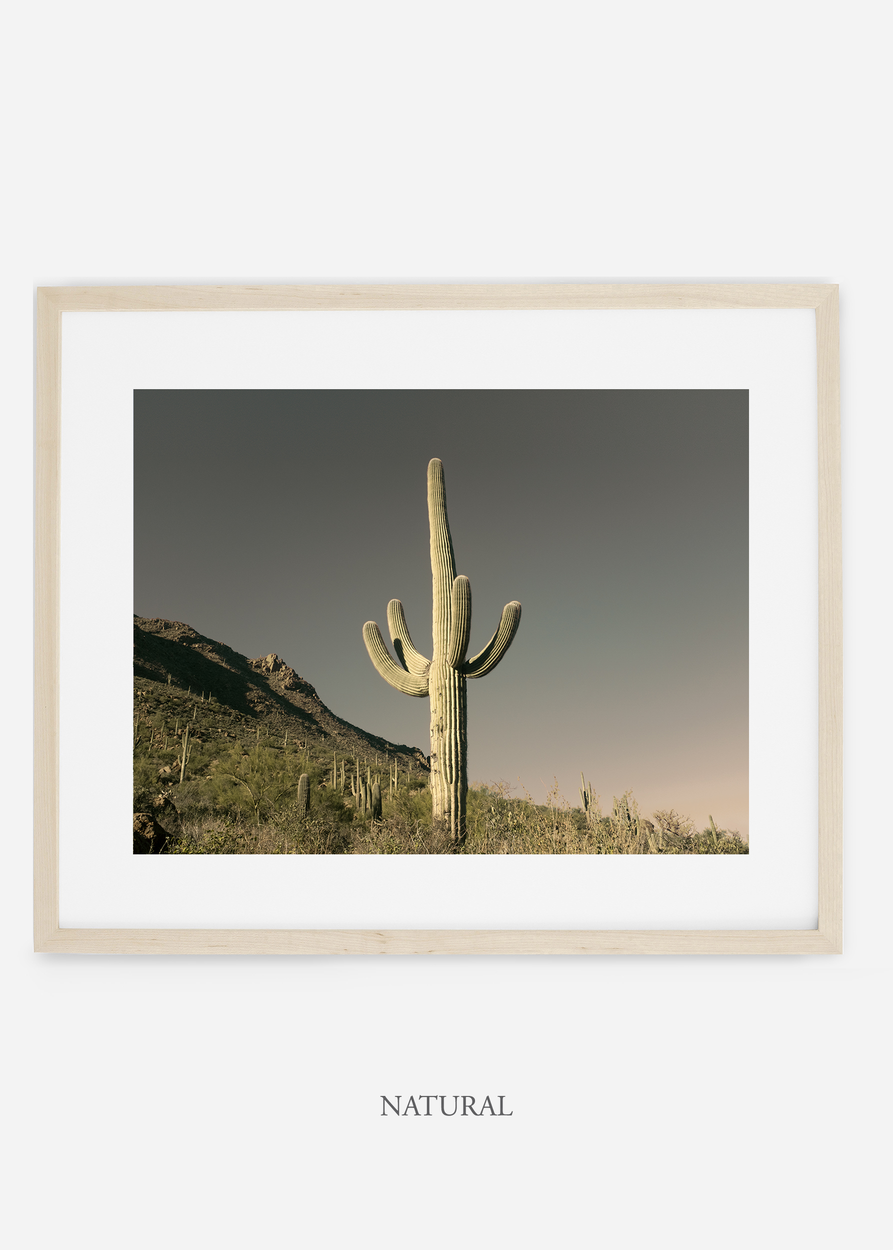naturalframe-saguaroNo.19-wildercalifornia-art-wallart-cactusprint-homedecor-prints-arizona-botanical-artwork-interiordesign.jpg