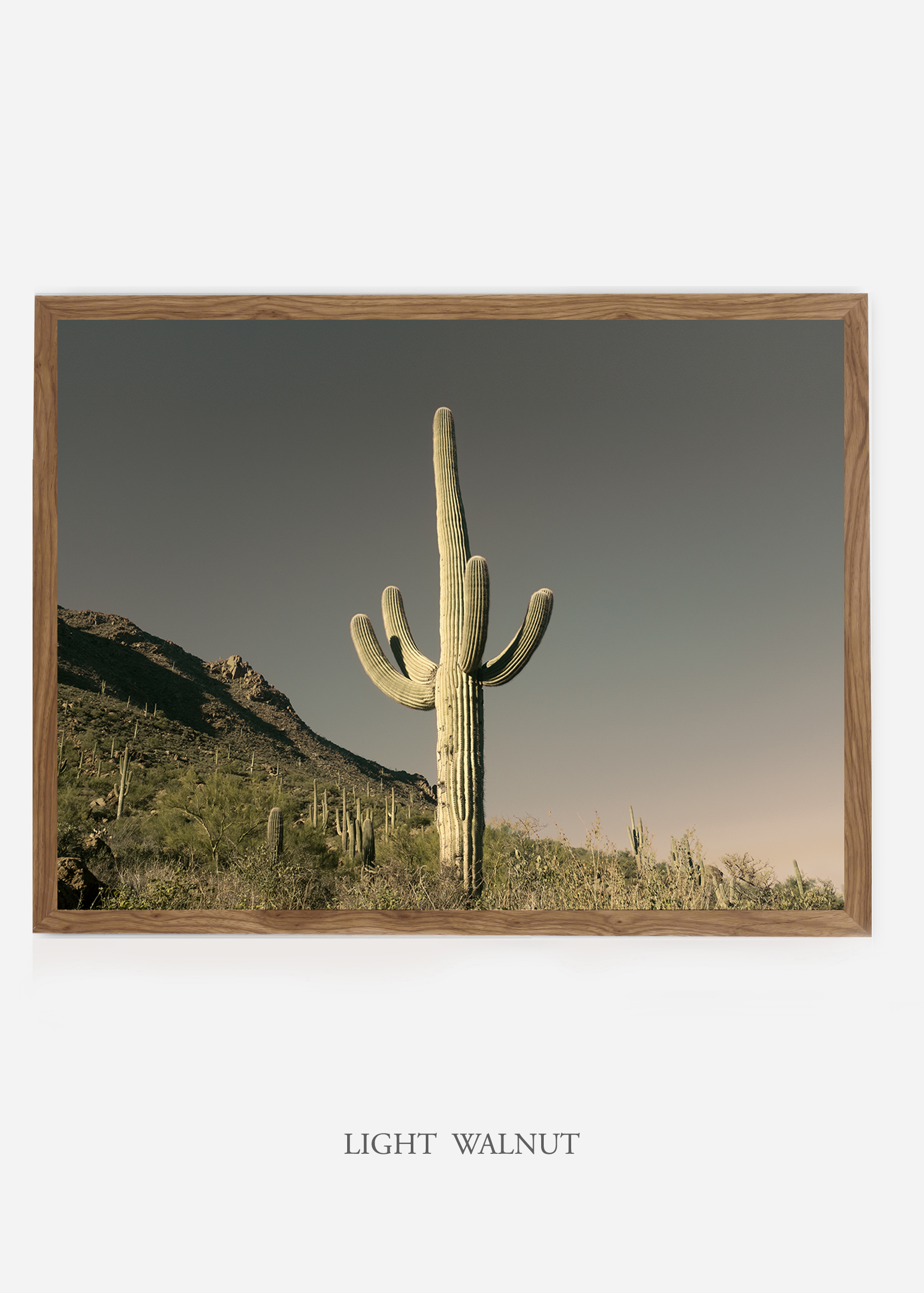 nomat_lightwalnutframe-saguaroNo.19-wildercalifornia-art-wallart-cactusprint-homedecor-prints-arizona-botanical-artwork-interiordesign.jpg