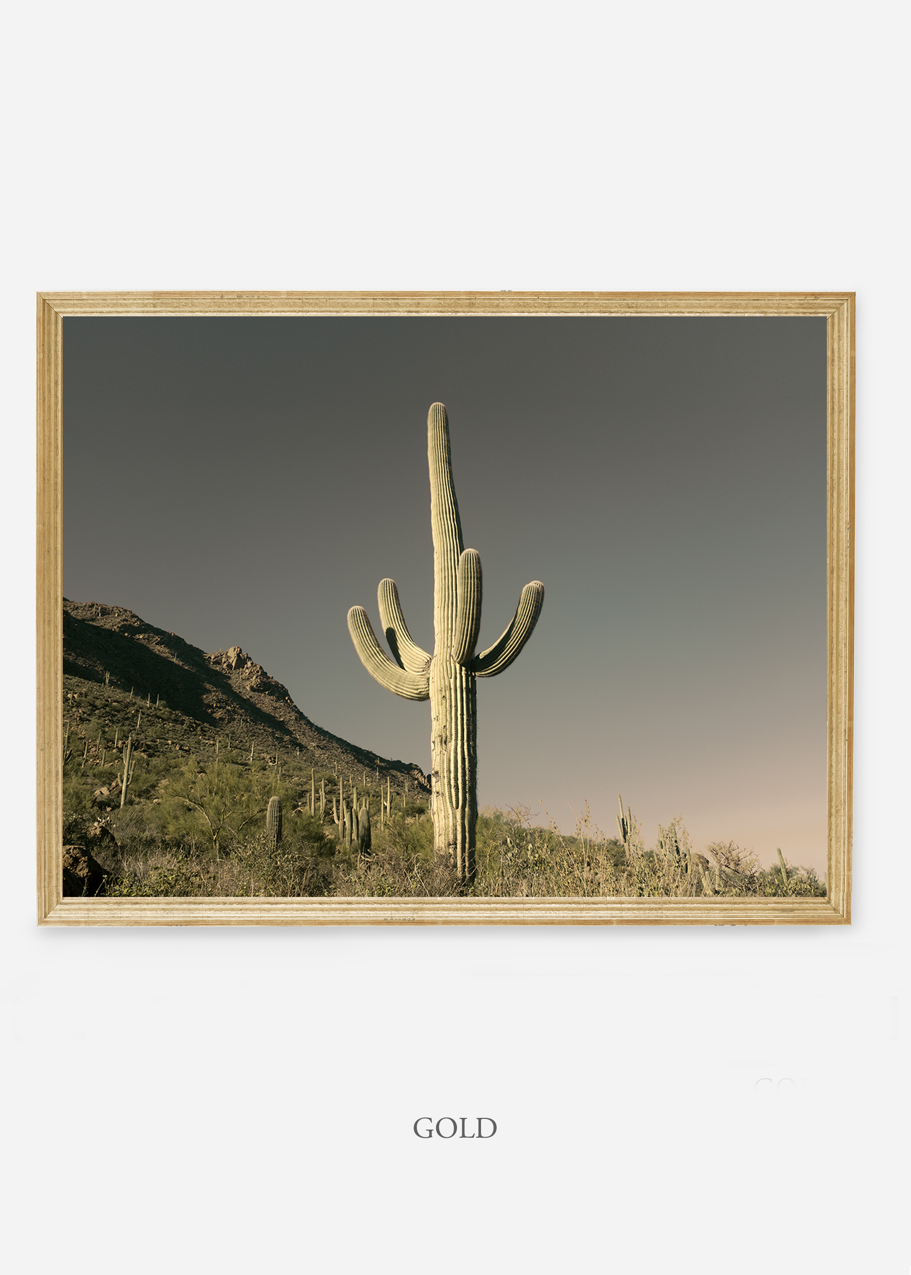 nomat-goldframe-saguaroNo.19-wildercalifornia-art-wallart-cactusprint-homedecor-prints-arizona-botanical-artwork-interiordesign.jpg