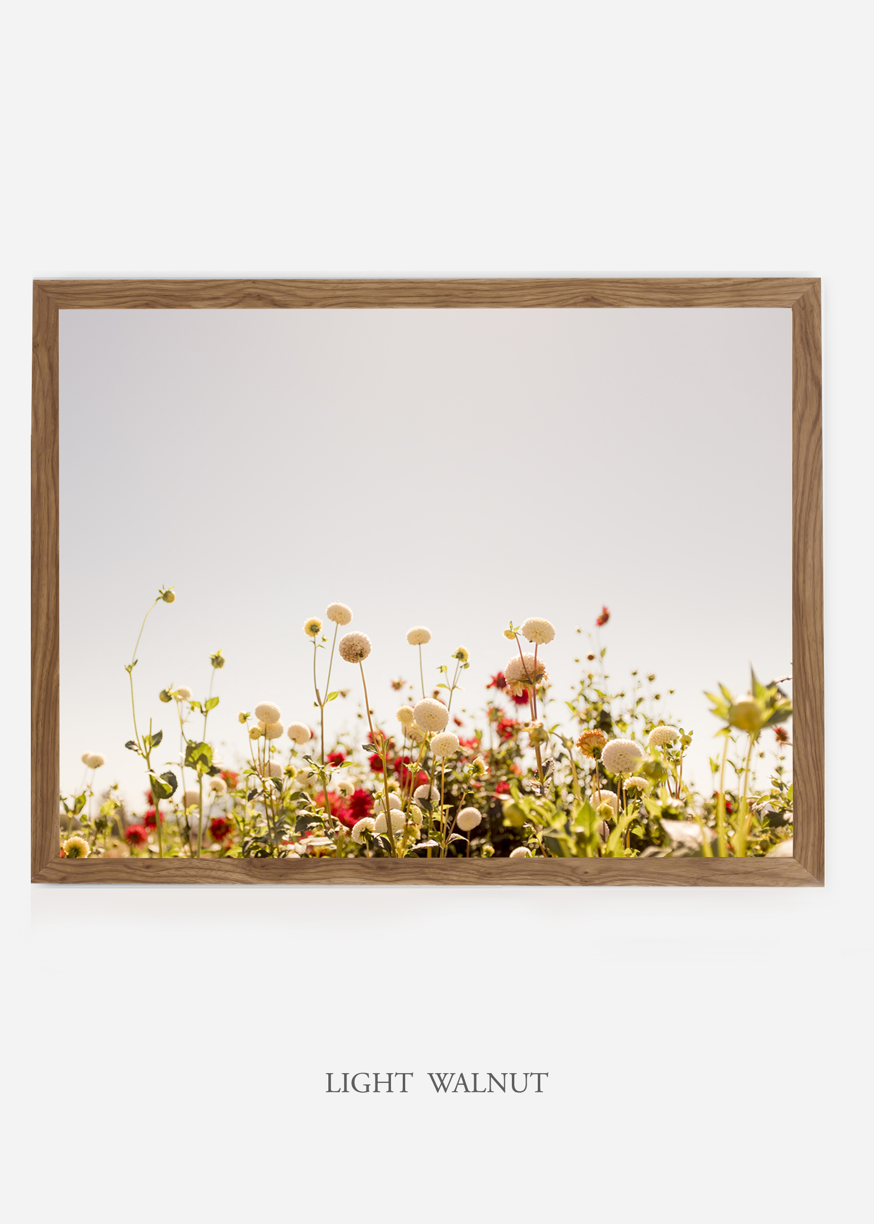 NoMat-LightWalnutFrame-DahliaNo.5-Wilder-California-Art-Floral-Home-decor-Prints-Dahlia-Botanical-Artwork-Interior-design.jpg