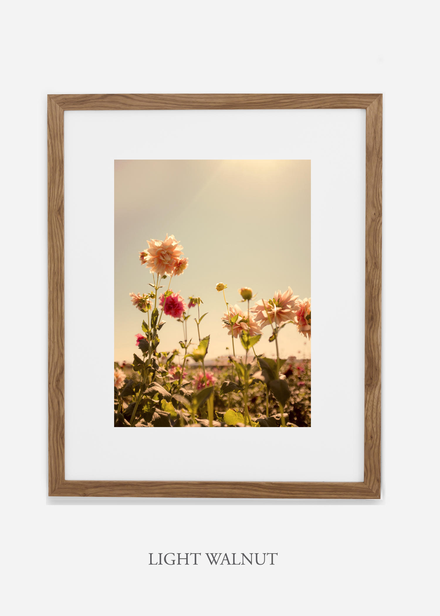 DahliaNo.3_lightwalnutframe__mat_interiordesign_botanicalprint_art.jpg