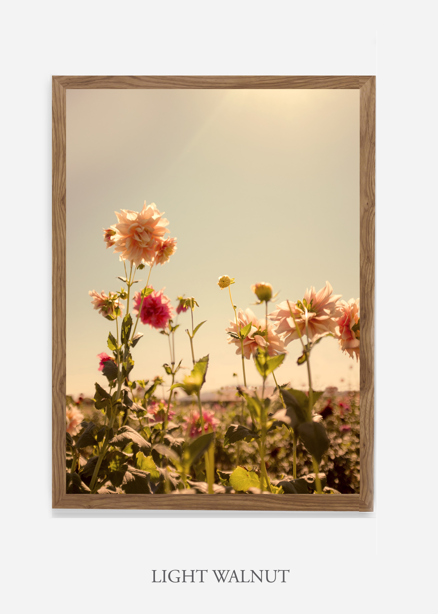 DahliaNo.3_lightwalnutframe__No.1_interiordesign_botanicalprint_art.jpg