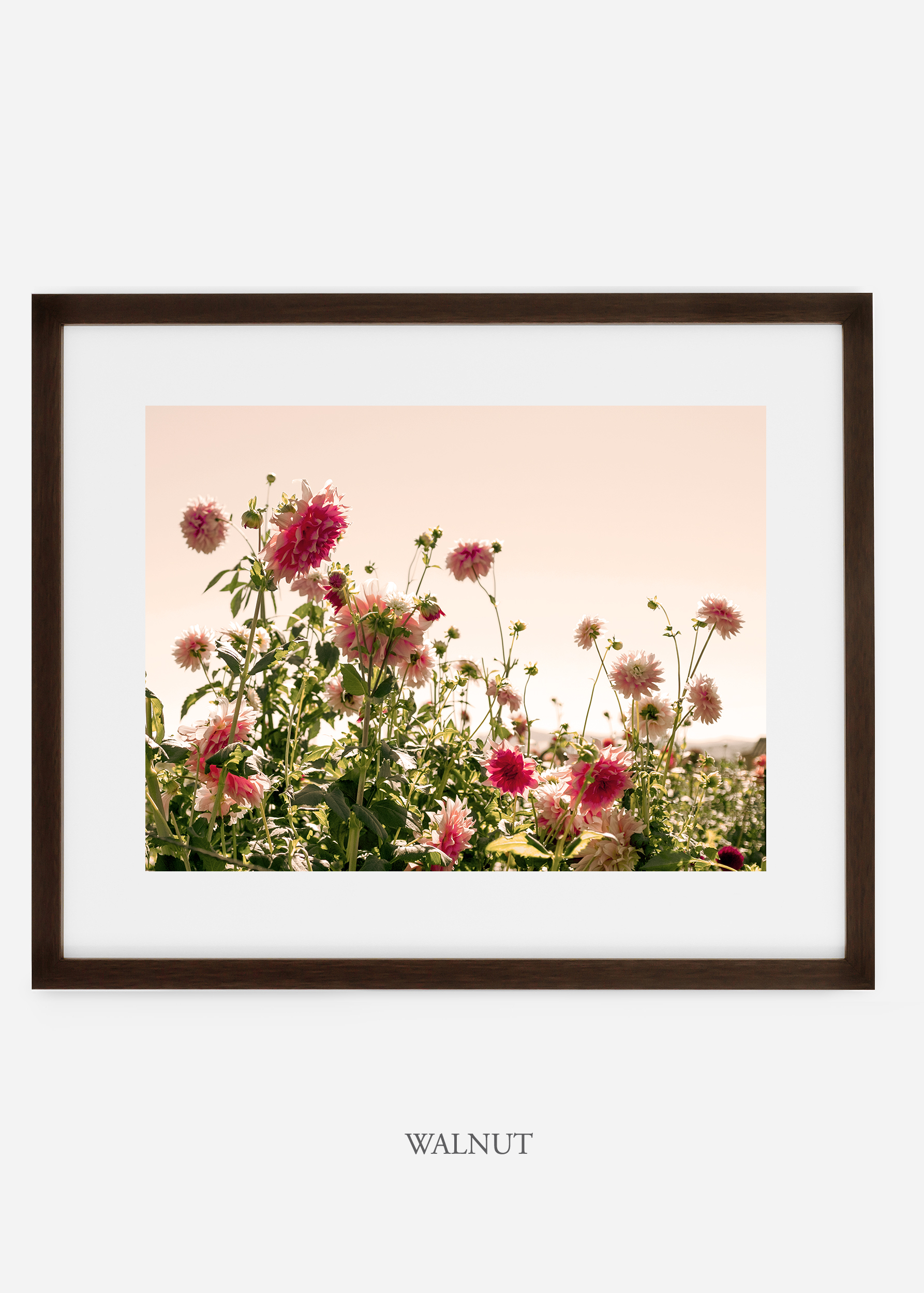 wilder-california-walnutframe-dahlia-7-minimal-botanical-print-art-interior-design.jpg