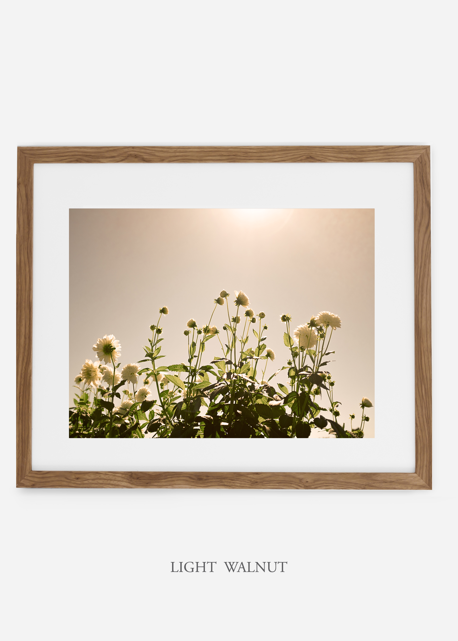 wilder-california-lightwalnutframe-dahlia-7-minimal-botanical-print-art-interior-design.jpg