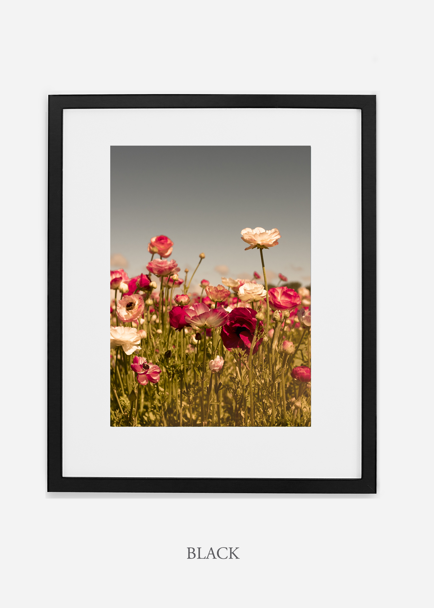 wilder-california-Floral-No.3_black-frame-mat-interior-design-botanical-print-art-floral-art.jpg