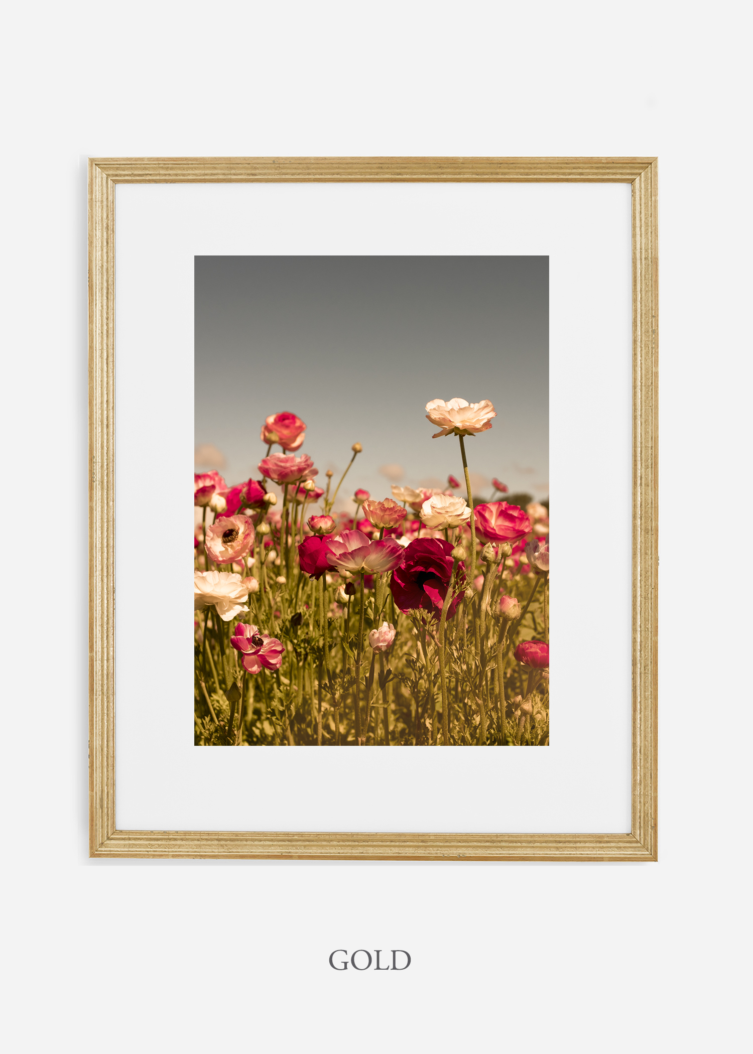 wilder-california-Floral-No.3-gold-frame-mat-interior-design-botanical-print-art-floral-art.jpg